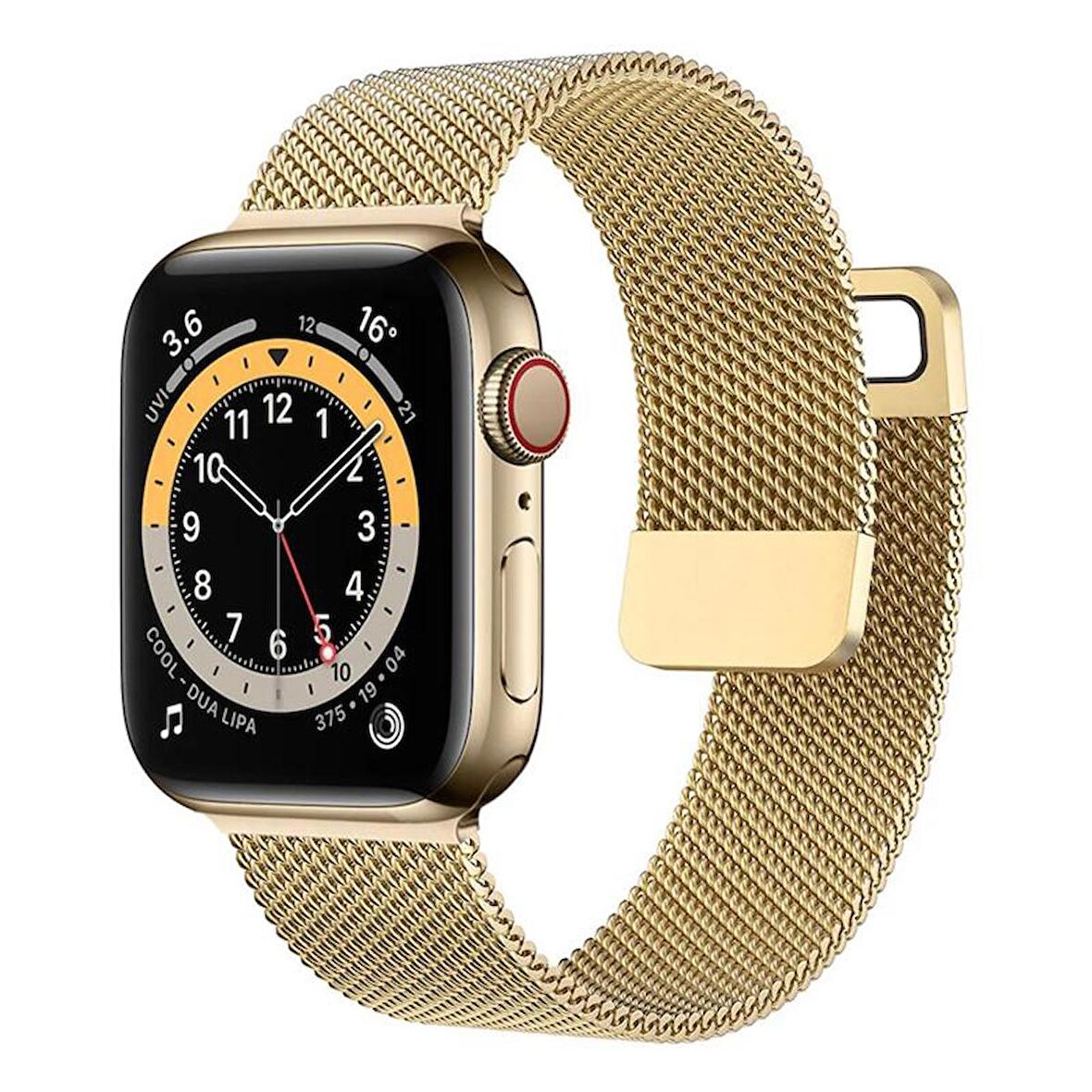 Forzacase Apple Watch 9 41mm ile uyumlu Metal Mıknatıslı Kordon Kayış - FC158
