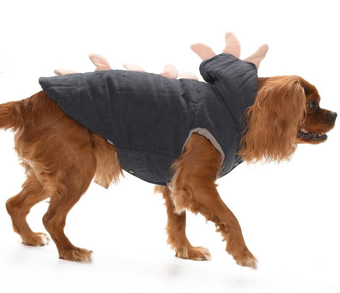 Küçük ve Orta Irk Köpek Ceket - Dino Lacivert