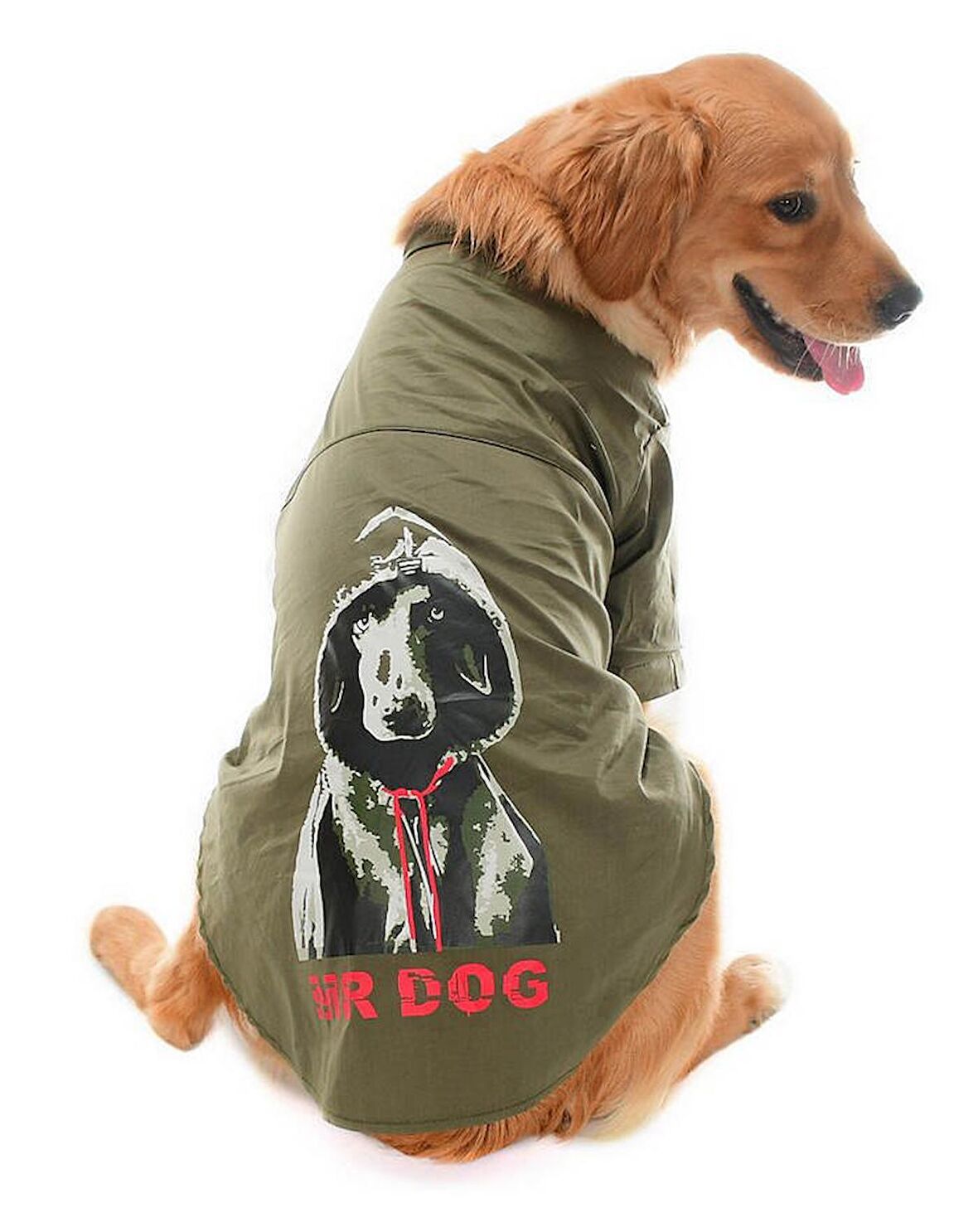 Orta ve Büyük Irk Köpek Gömlek - Rajo