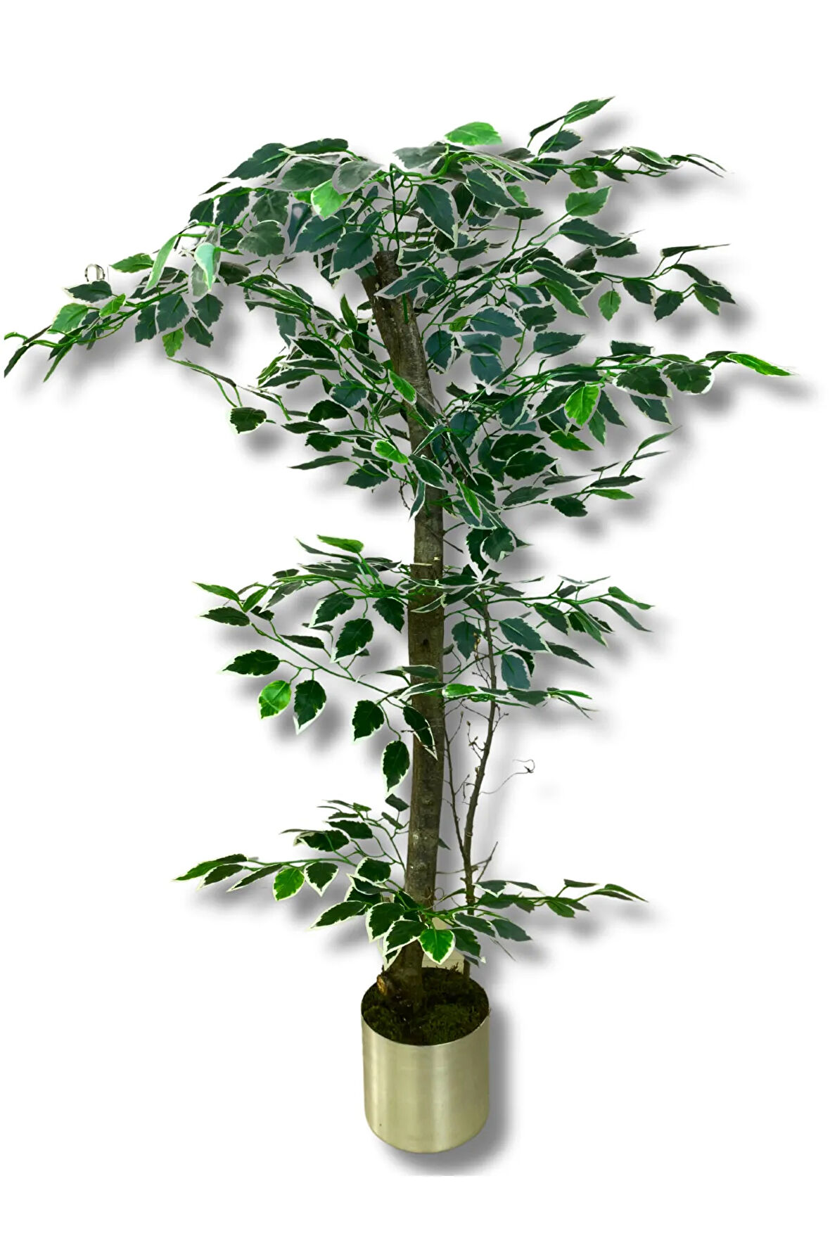 Yapay Ağaç Ficus 120 Cm 15x15 Cm Metal Saksı