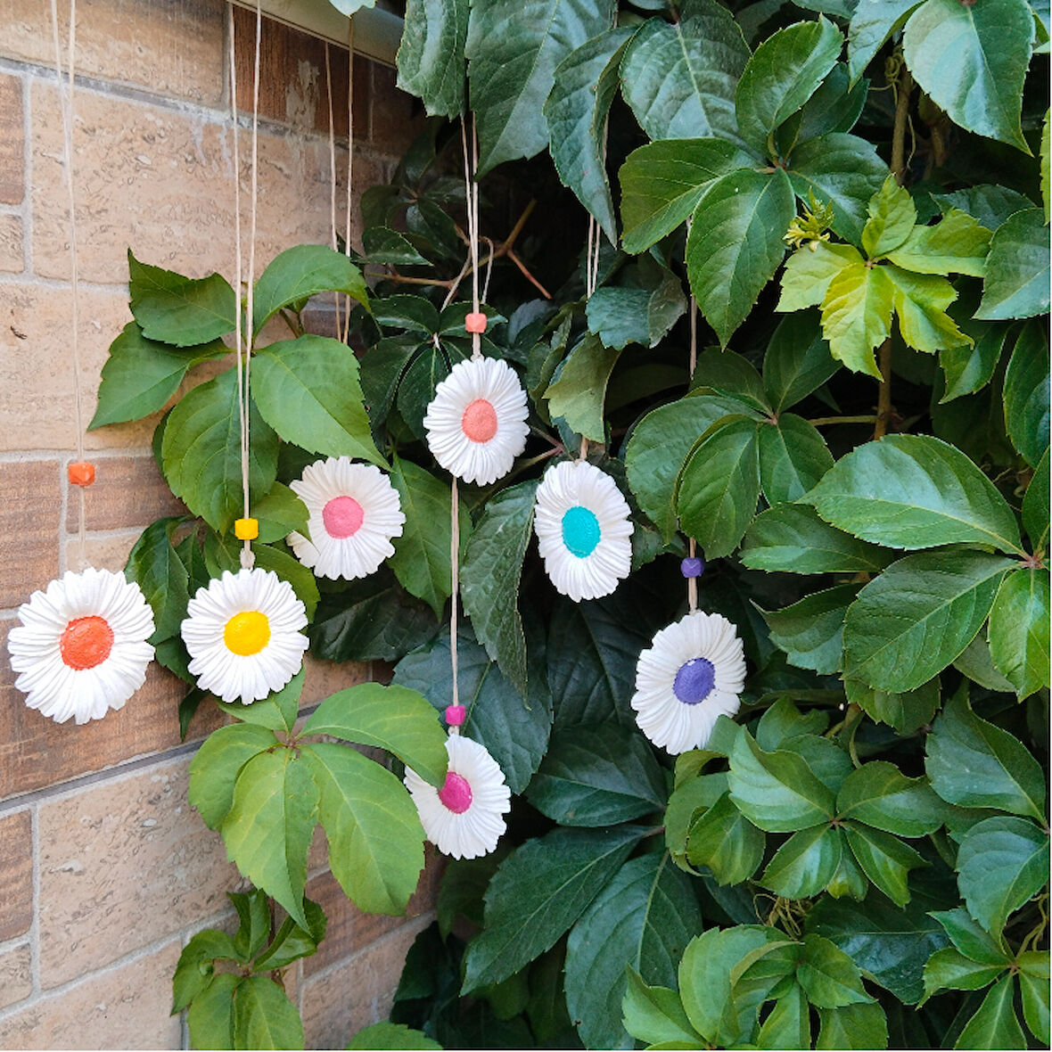 7 Li Papatya Duvar Dekoru Bahçe DuvarSüsü