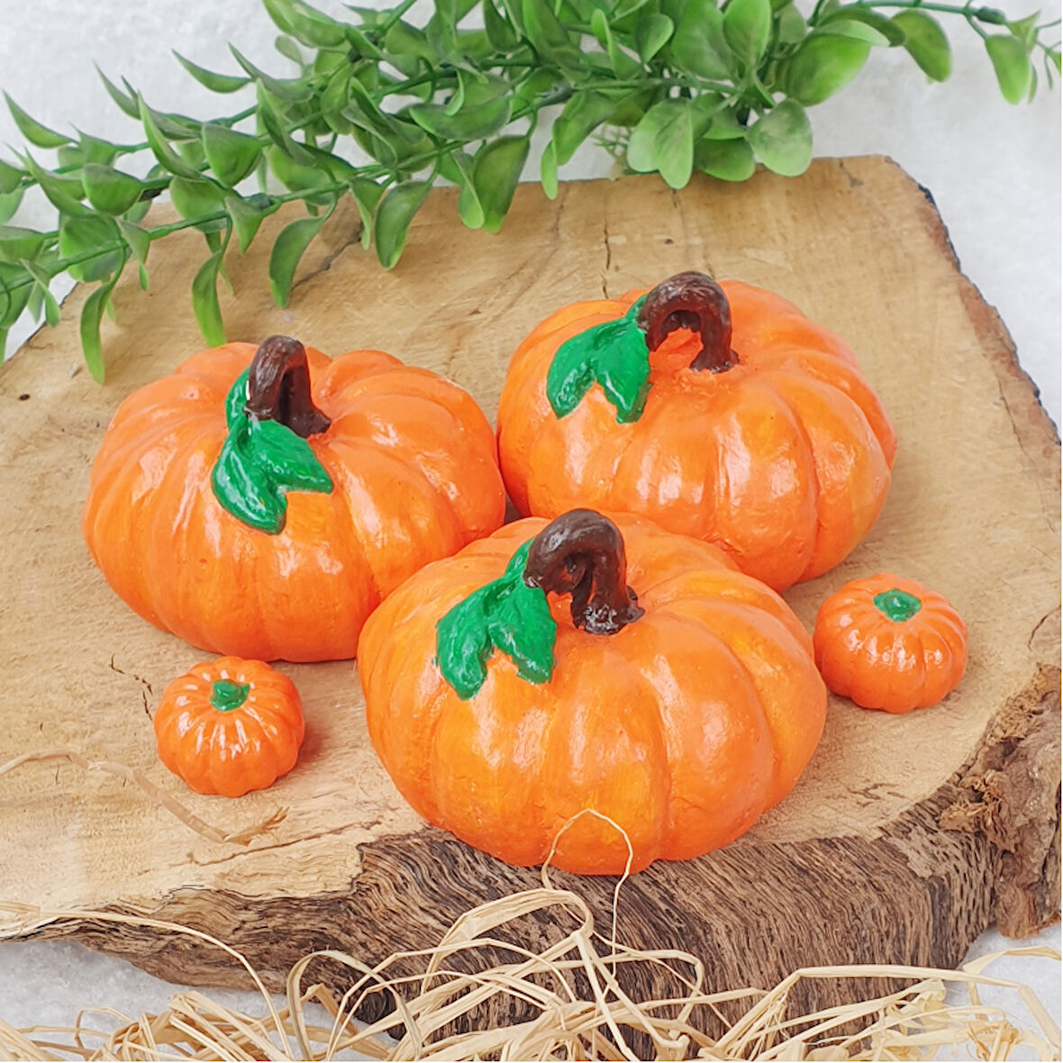 (hediyeli) 3 Lü  Büyük Boy Balkabağı