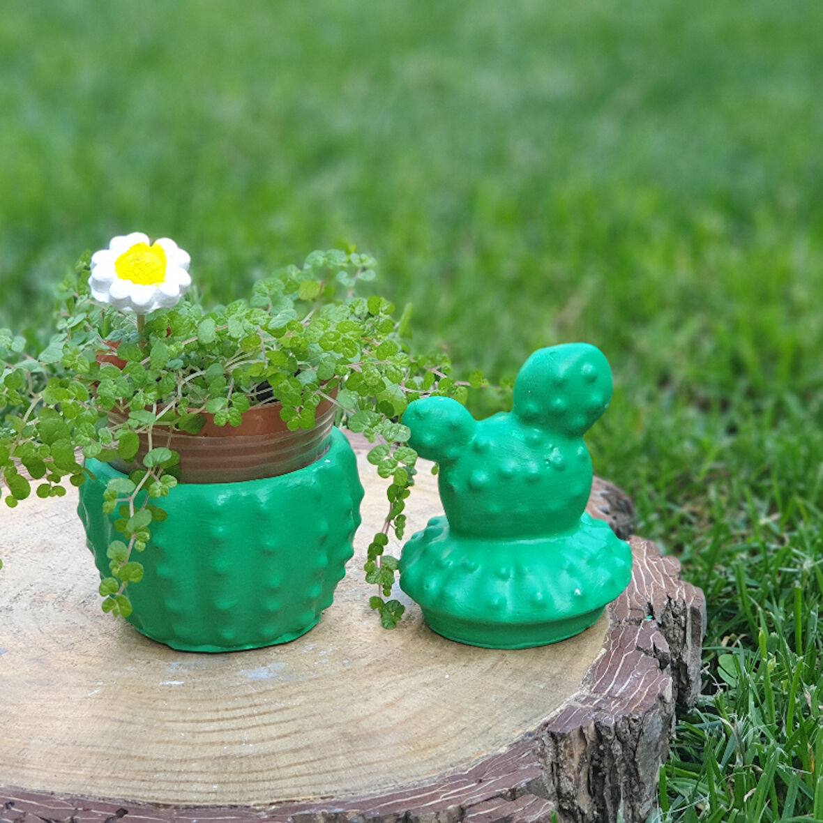 Kaktüs Şeklinde  Mum/saksı/kutu