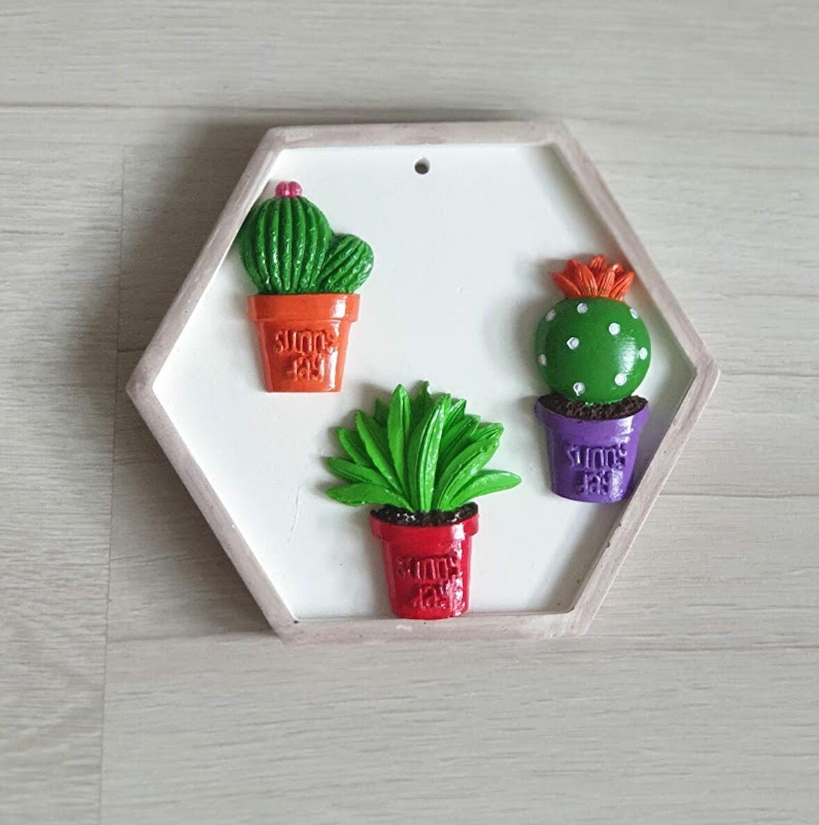 Altıgen  Kaktüslü  Duvar Dekoru Çerçeve