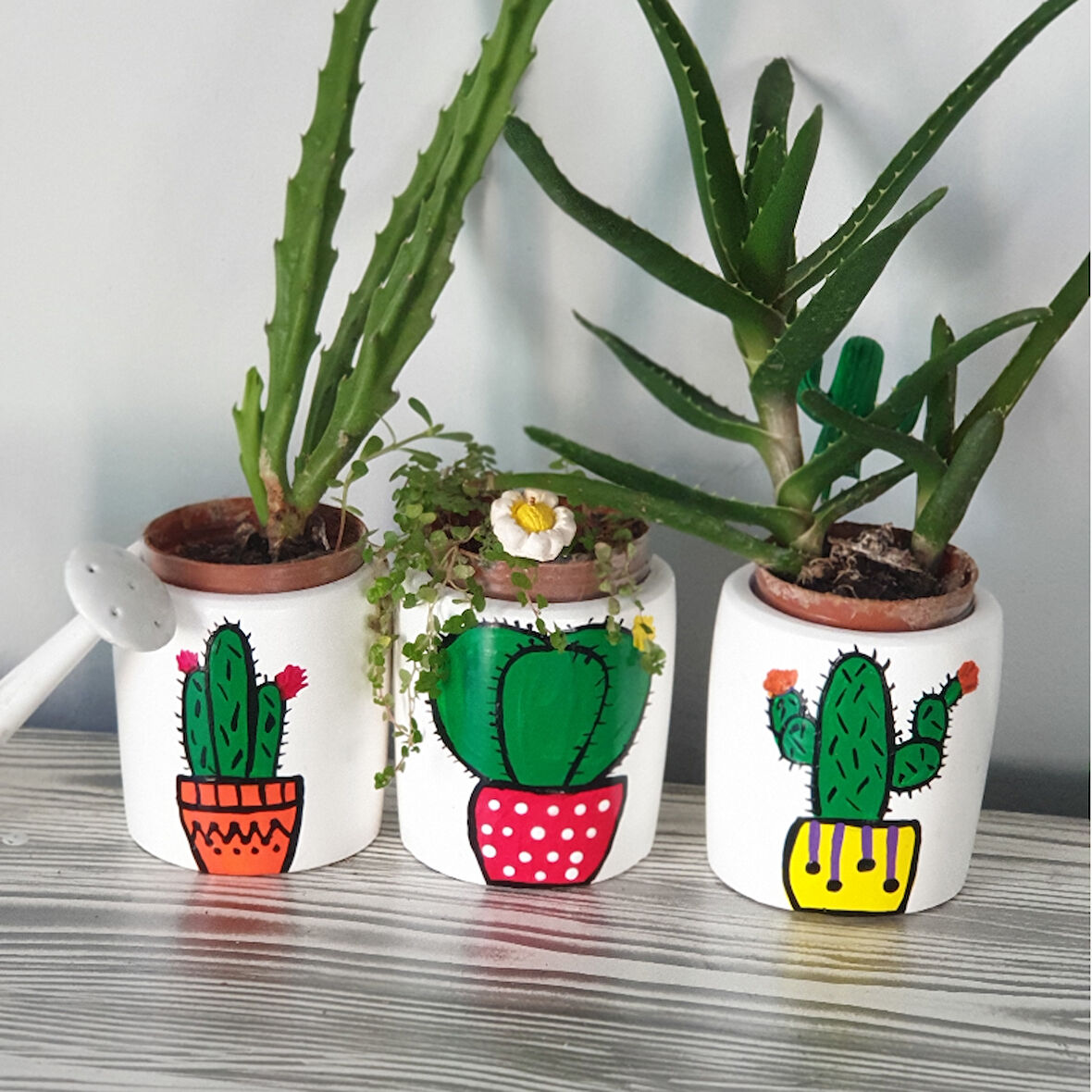 3 Lü Kaktüs Çizimli Saksı Seti