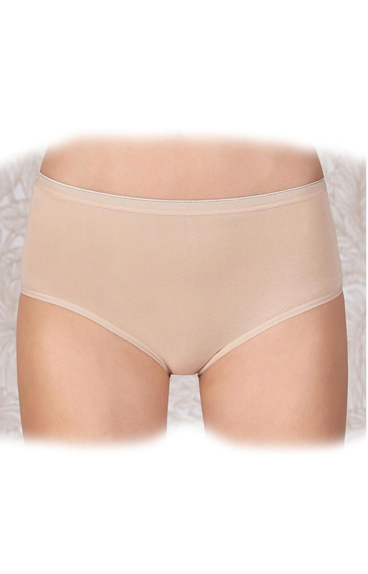 Berrak 2321 Kadın Yüksel Bel Modal Külot Bato