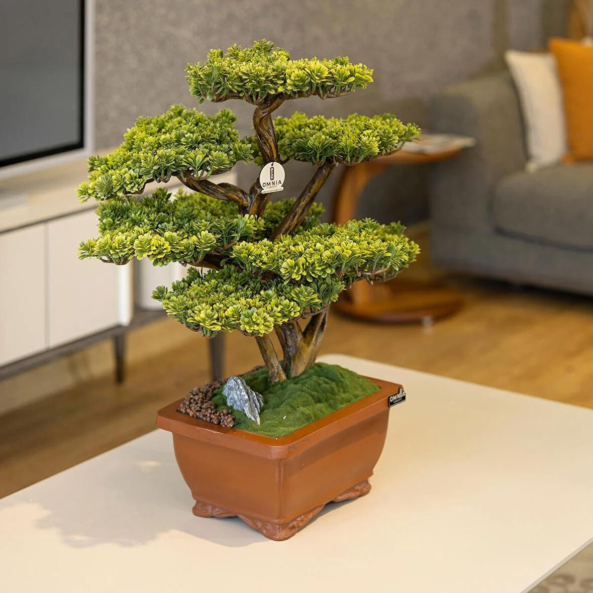 Flora Bonsai-5 Masaüstü Kullanıma Uygun Doğal Ağaç Gövdeli Yapay Bonsai Ağacı - 40x50 Cm