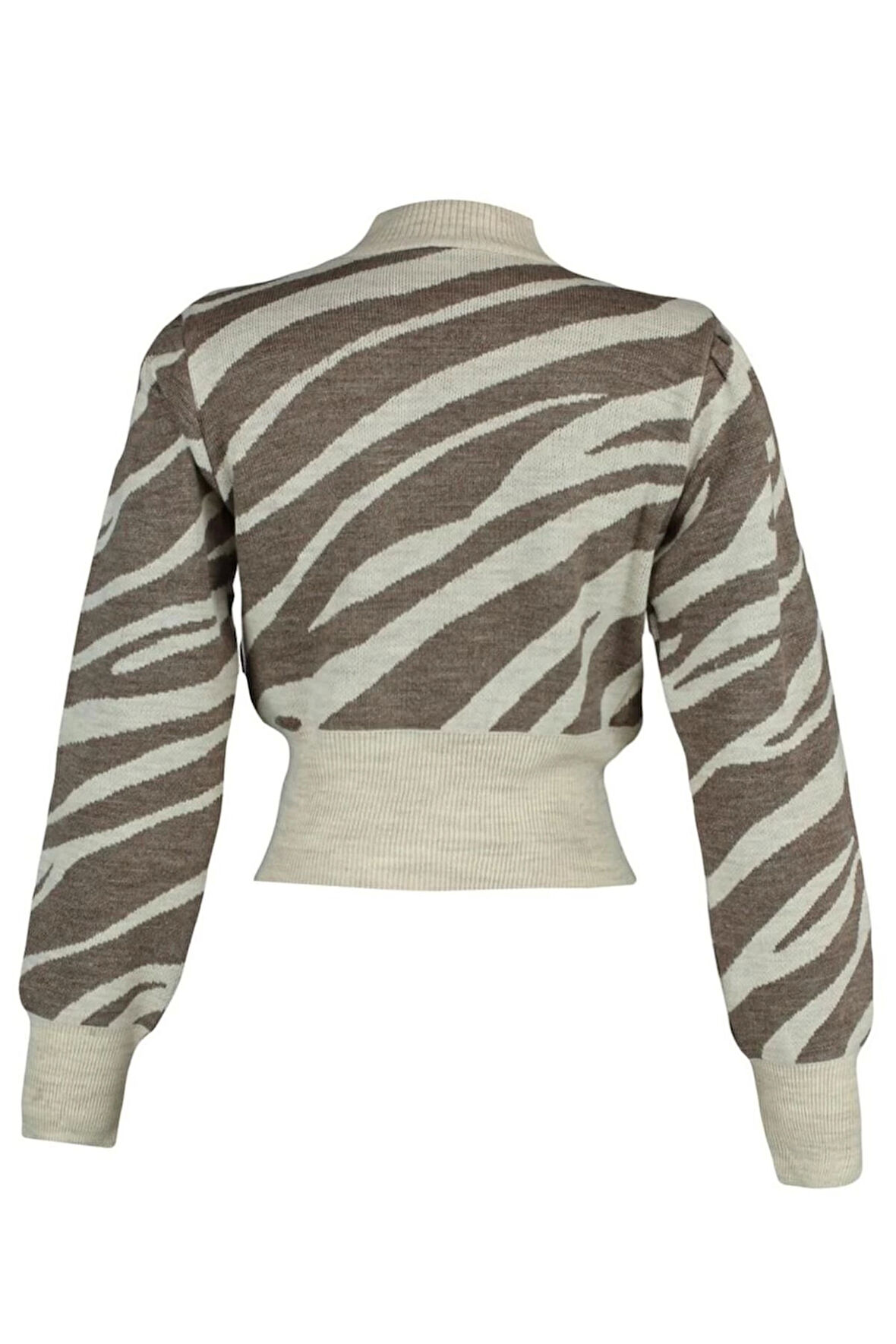 Kadın Moda Şık Crop Dik Yaka Uzun Kol Zebra Zebra Desenli Crop Triko Kazak