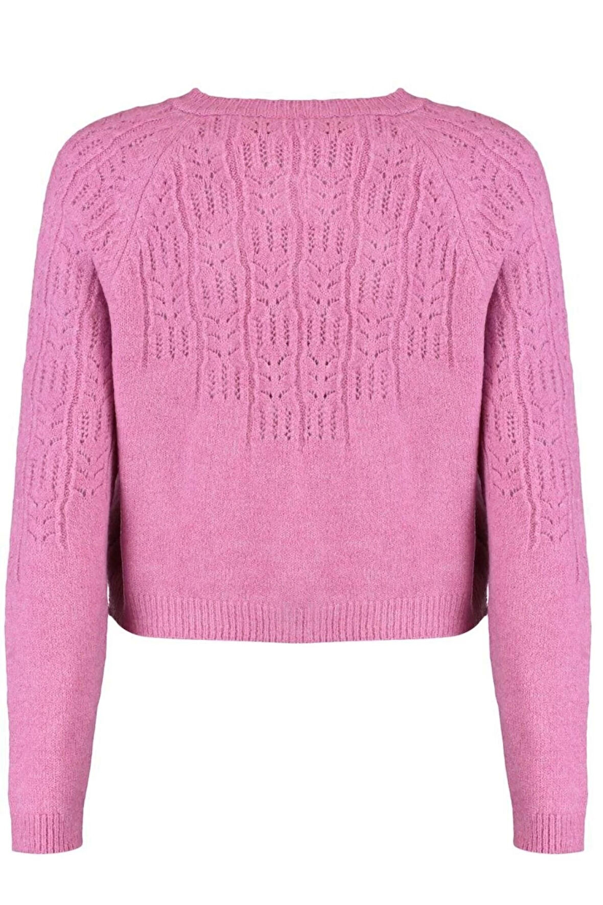 Kadın Moda Şık Crop Bisiklet Yaka Regular Yumuşak Dokulu Ajurlu Delikli Triko Hırka
