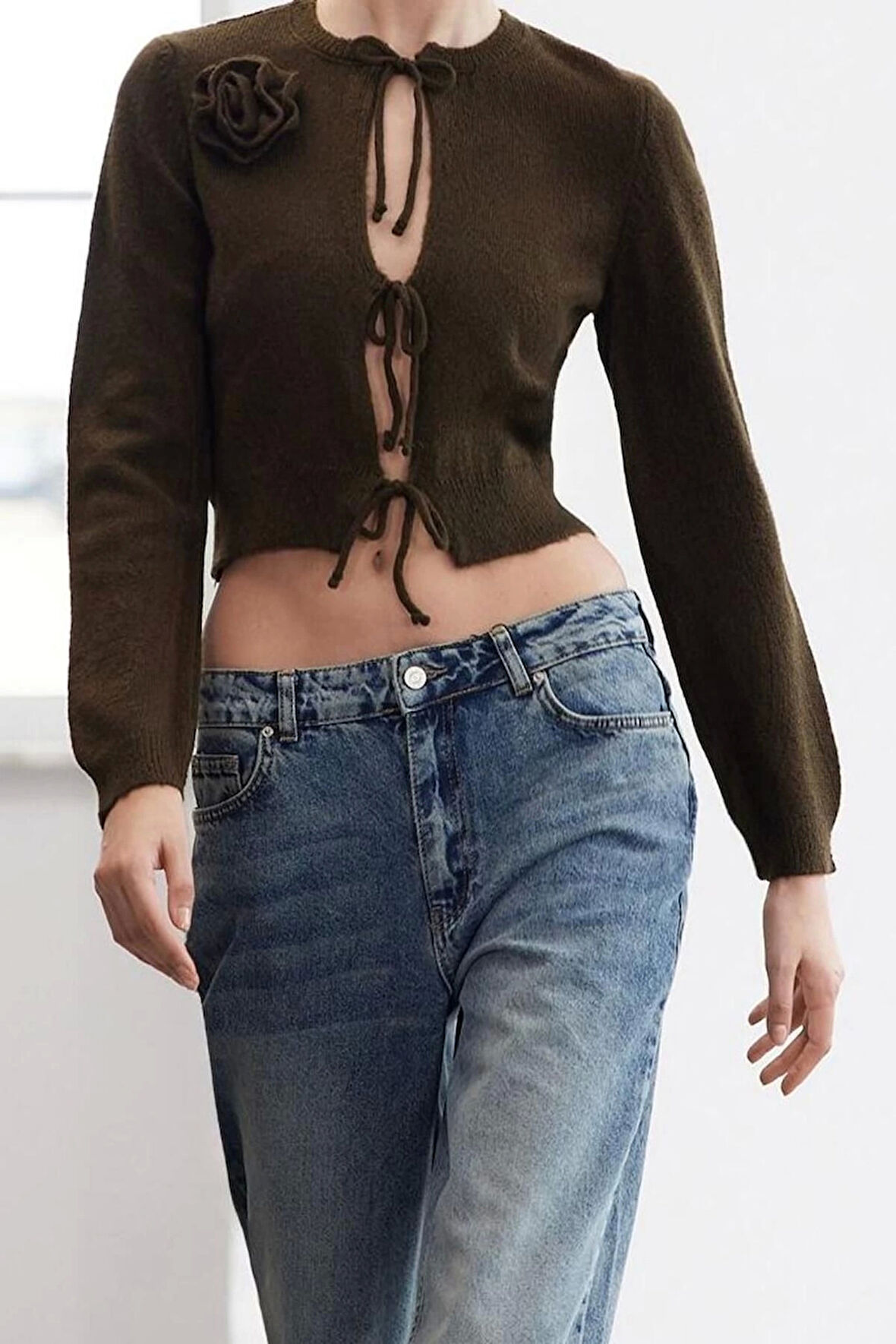 Kadın Moda Şık Crop Bisiklet Yaka Regular Crop Yumuşak Dokulu Gül Ve Fiyonk Detaylı Triko Hırka