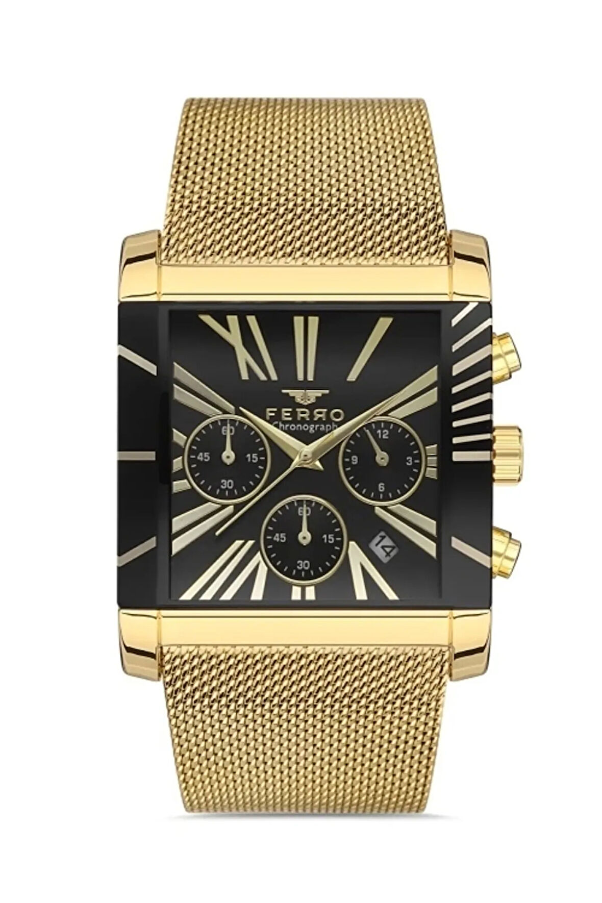 Gümüş Hasır Kordon Erkek Kol Saati FM41292C-A