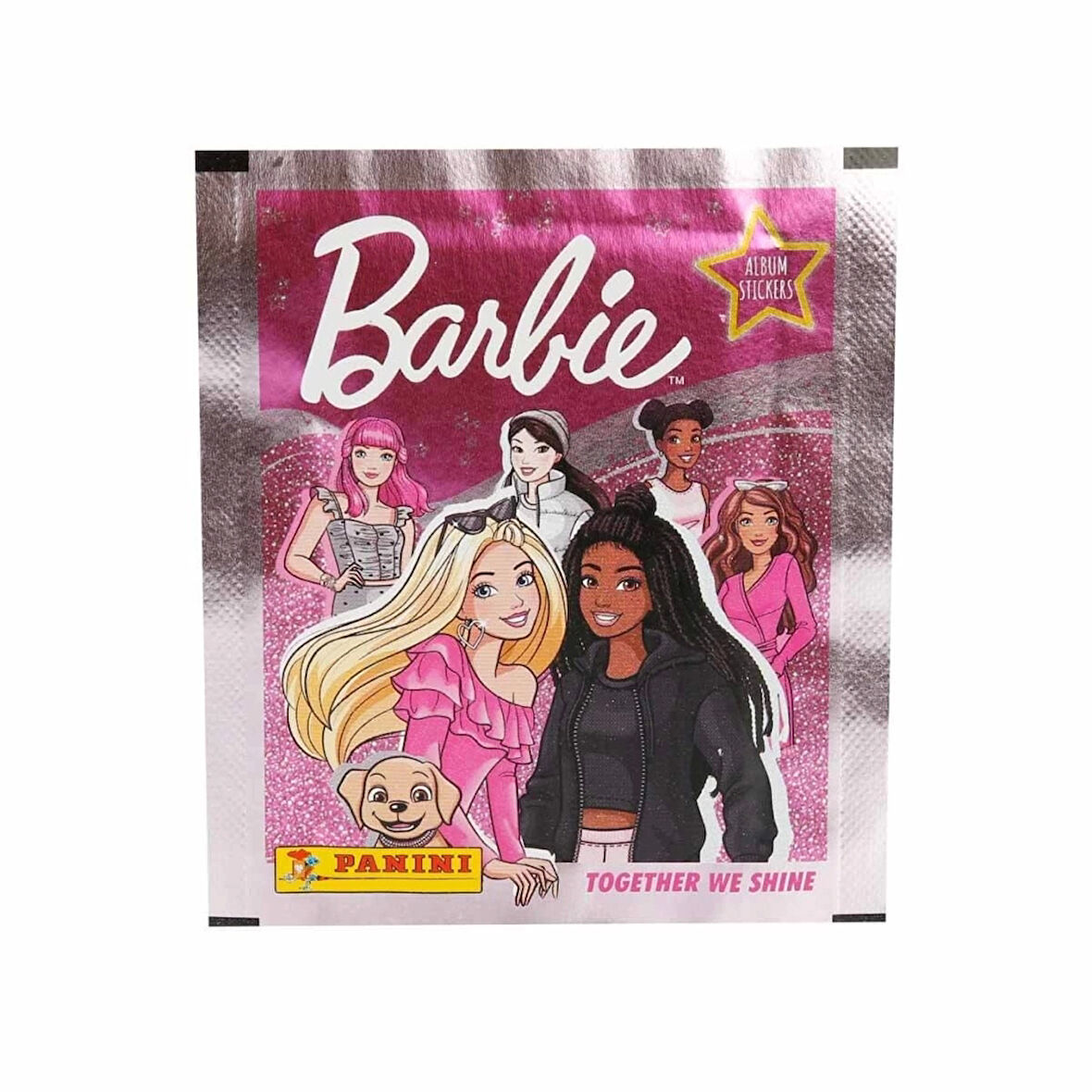 Panini Barbie Çıkartma Paketi Çocuklar İçin Eğitici ve Eğlenceli Set