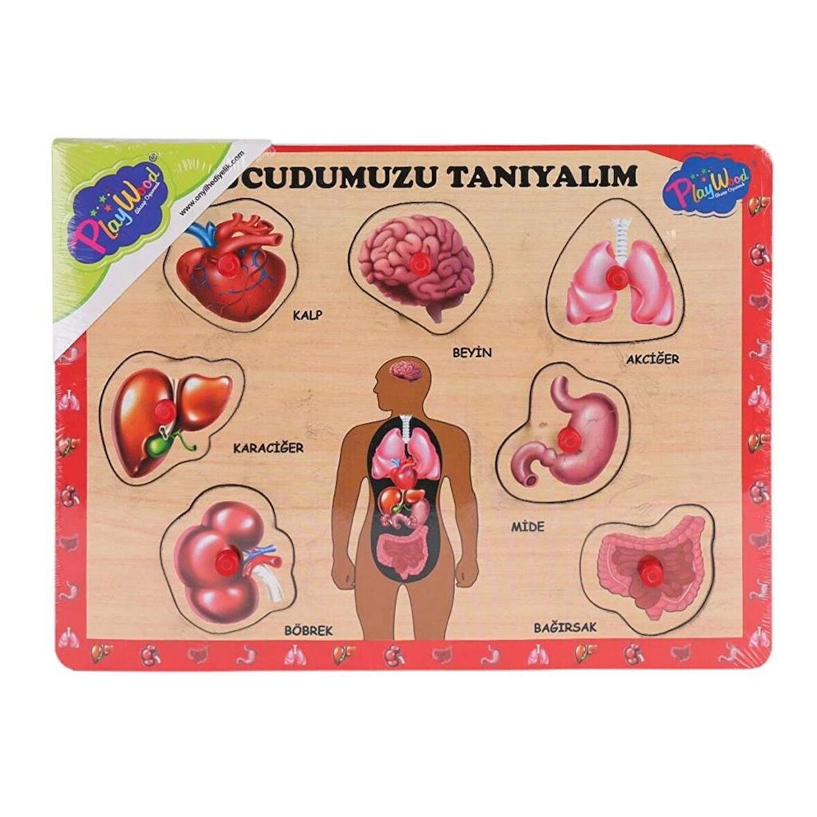 Ahşap Tutmalı Vücudumuzu Tanıyalım Eğitim Seti