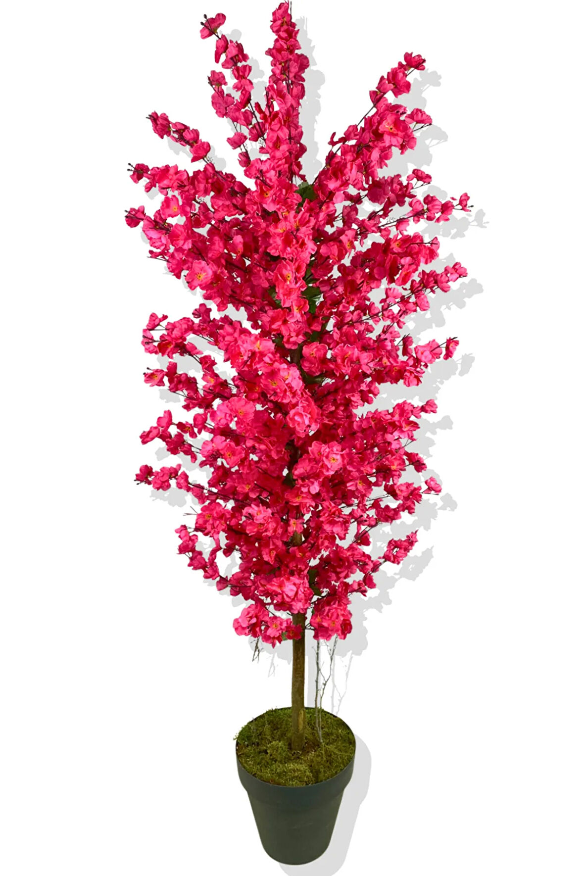 Fuşya Bahar Dalı 180 Cm Üretim Saksısı