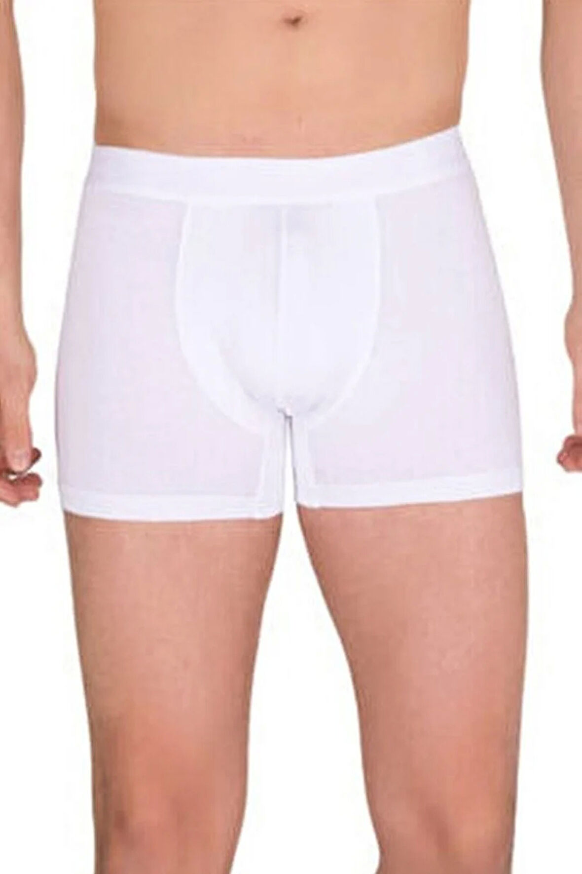 Berrak Erkek Modal Boxer  4476