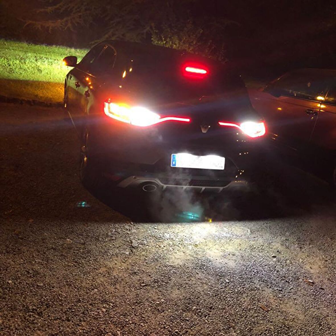 Renault Megane 4 LED Plaka Aydınlatma Ampulu FEMEX T10