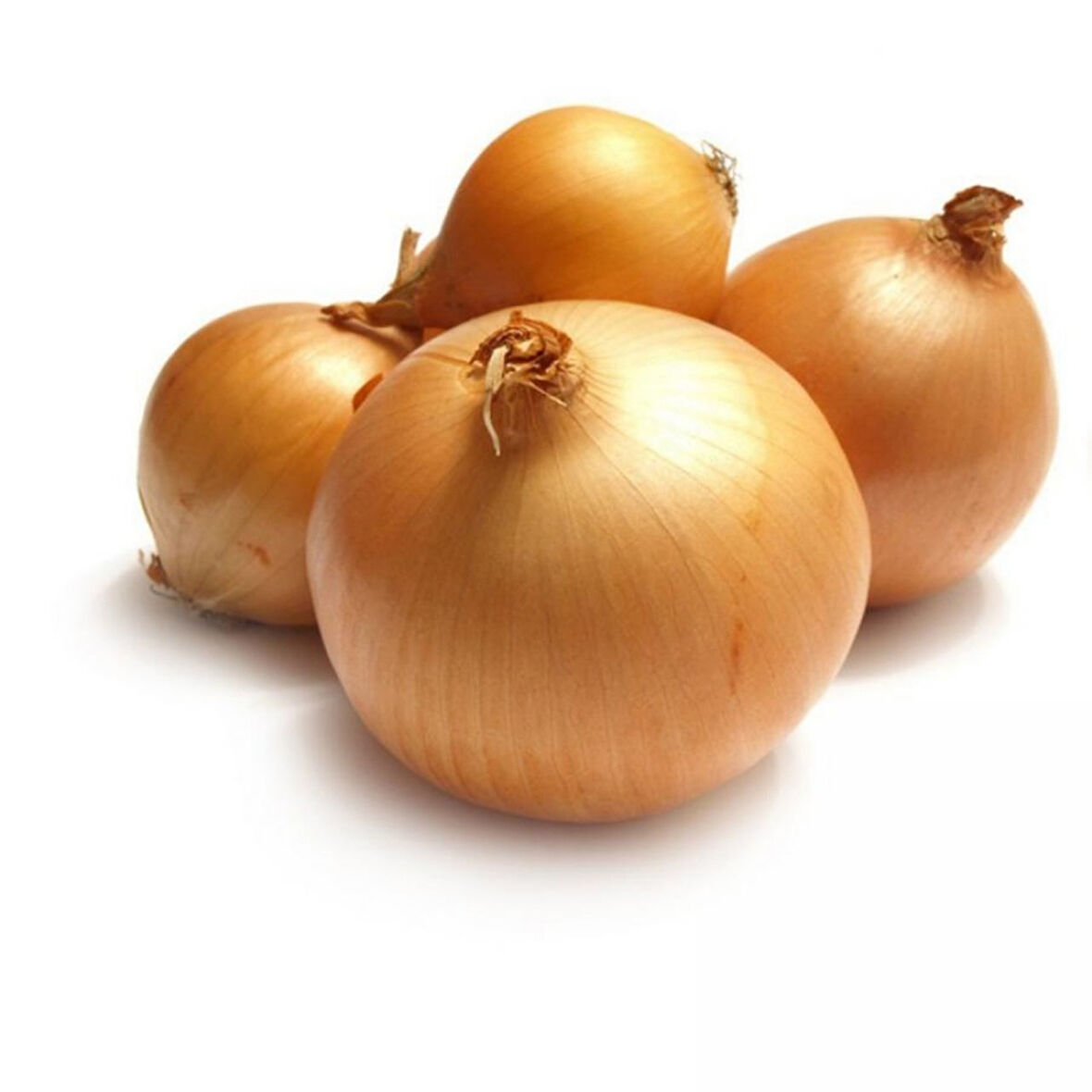 Geleneksel Ata Tohumları Bankon Soğan Tohumu(50 Tohum)