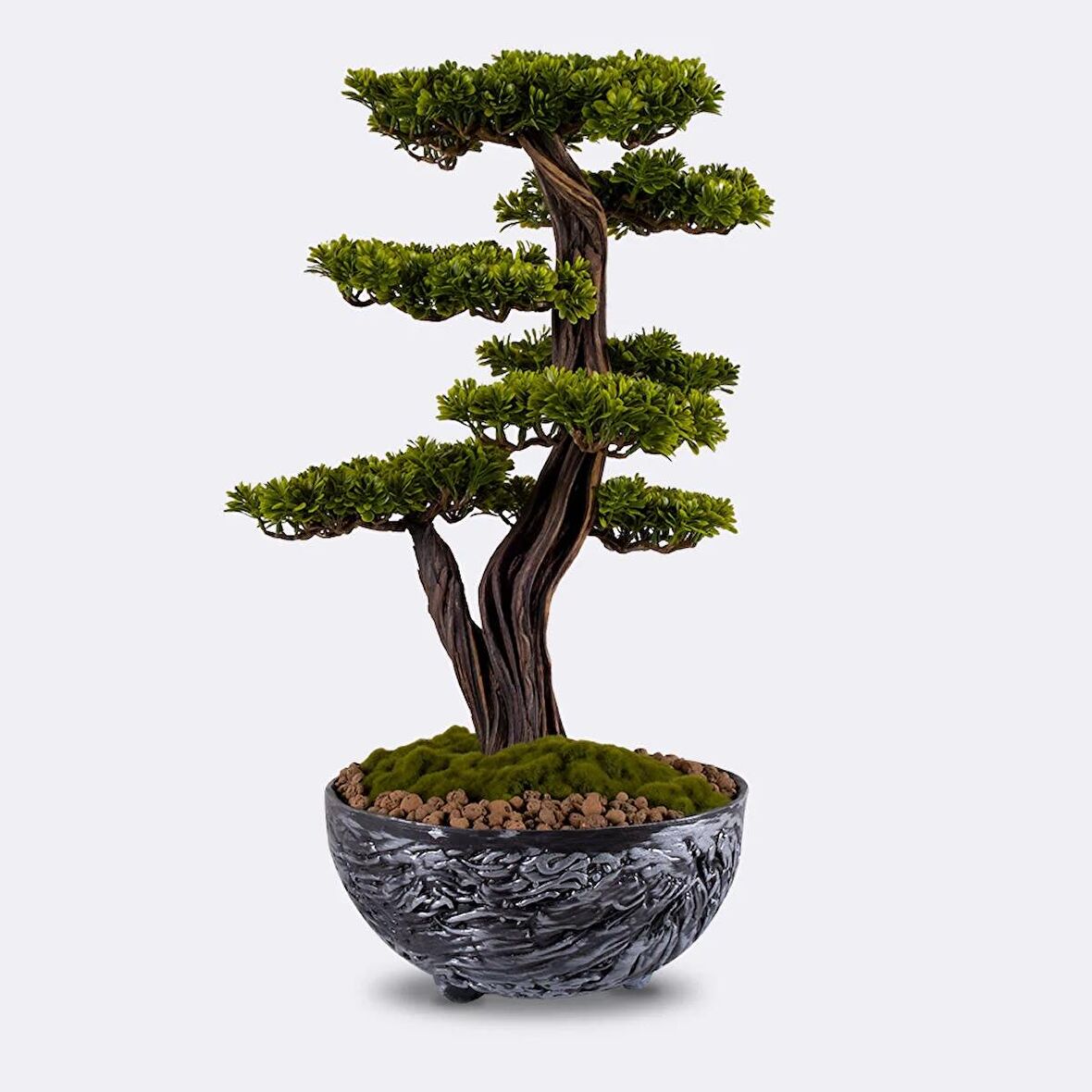 Galatea Thuja-5 Masaüstü Kullanıma Uygun Doğal Ağaç Gövdeli Yapay Bonsai Ağacı - 45x60 Cm