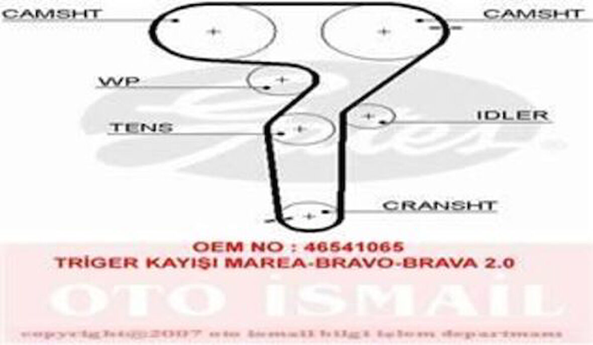 Gates 5423XS Eksantrik Kayışı 167x240 Marea 2.0 96 00 Brava 2.0Hd 98 00 Bravo 2.0HGT 20V 96 00 Ct879 46541065