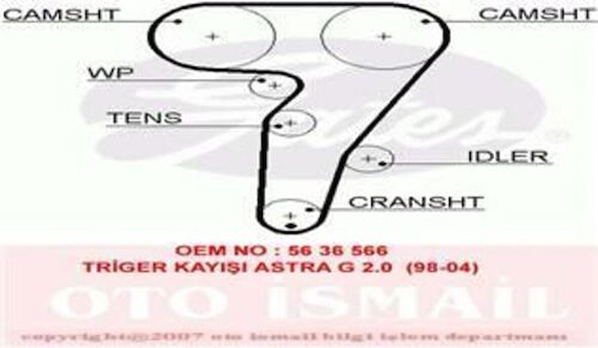 Gates 5429XS Eksantrik Kayışı 168x240 Brava Bravo Marea Punto 1.8 16V 95-Lancia Alfa Romeo Ct876 55210628