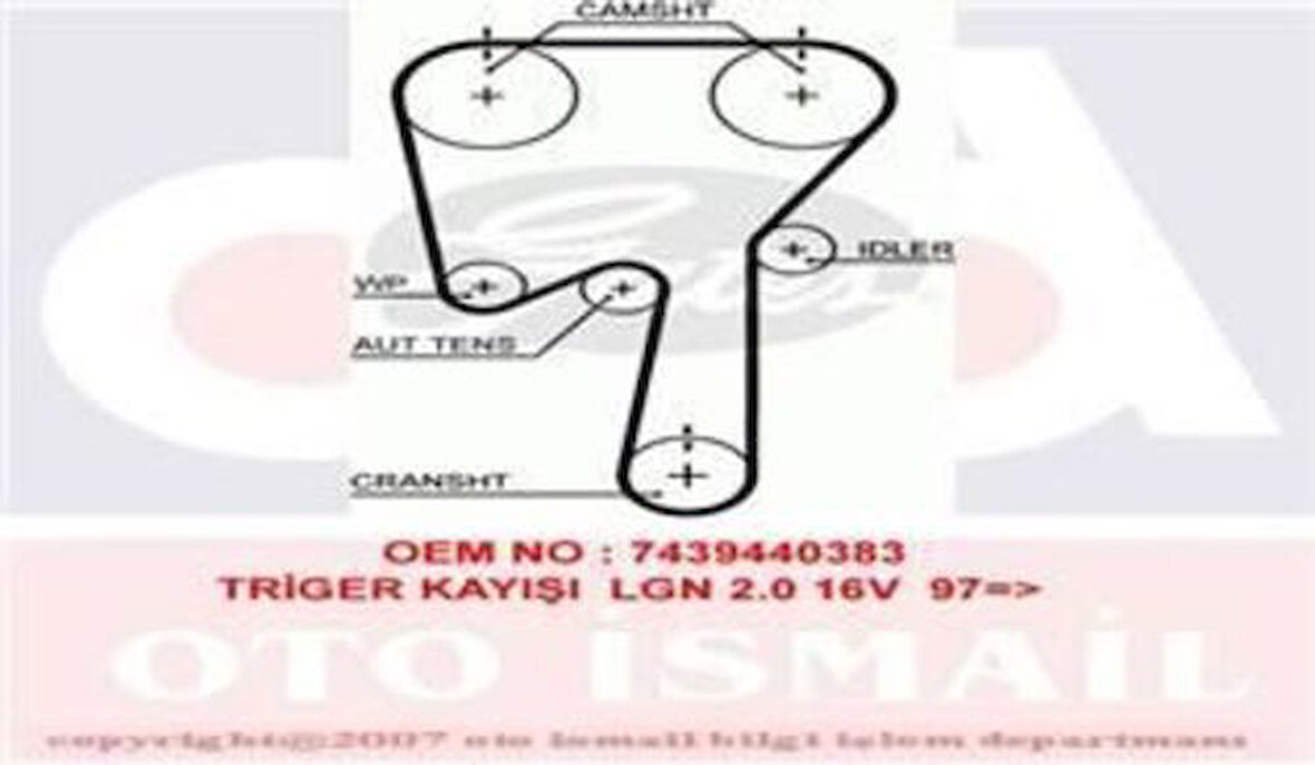 Gates 5509XS Eksantrik Kayışı 142x230 Laguna Safrane 2.0 16V 95 01 Volvo Mondeo S Mafocus 2.5 20V Ct978 274338