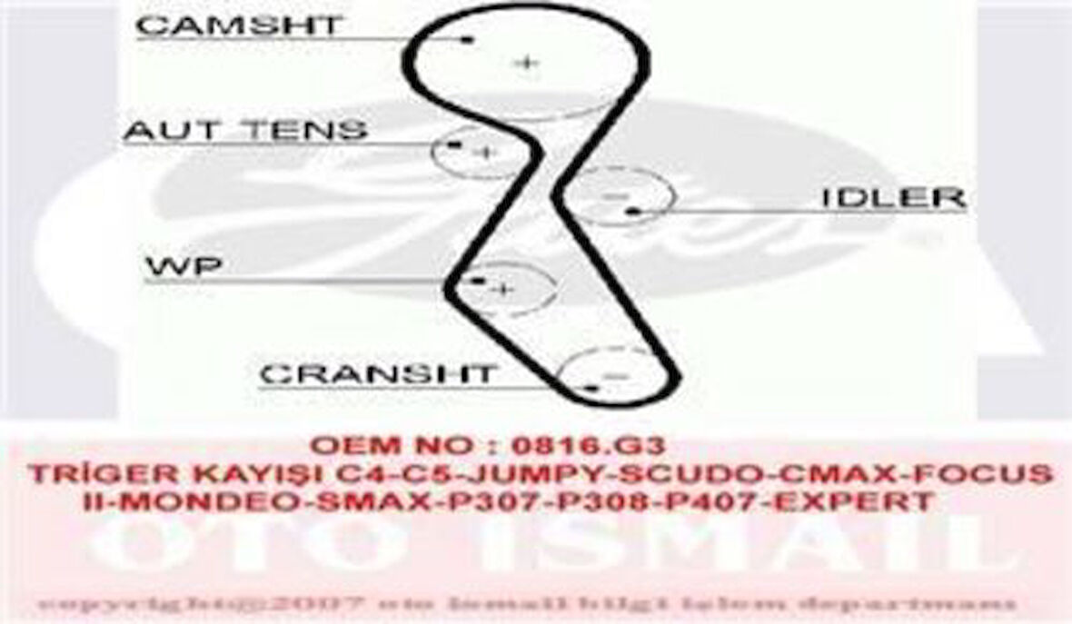 Gates 5606XS Eksantrik Kayışı 116x254 C4 C5 Jumpy Scudo CMA Focus II Mondeo Smap307 308 P407 Expert 2.0 HDI 3M5Q6K288BA
