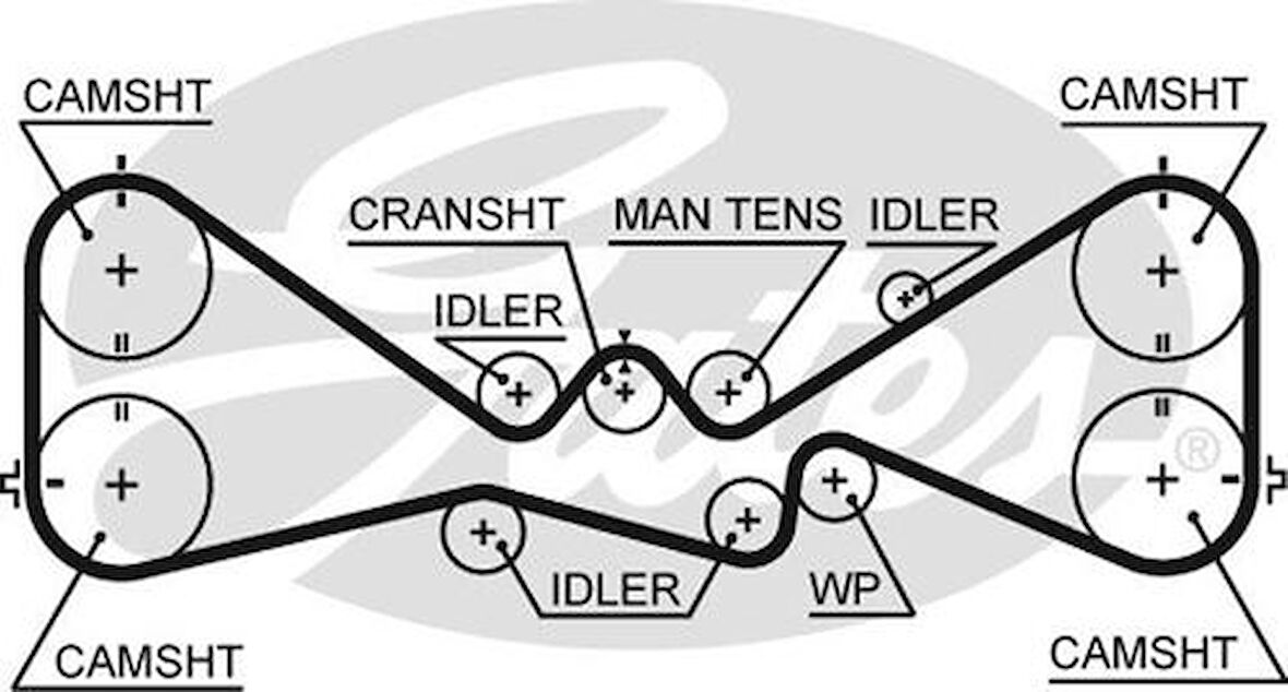Gates 5612XS Eksantrik Kayışı 281x300 Forester 2.0T 98-Impreza 00-Legacy Autback Ct1057 13028AA240