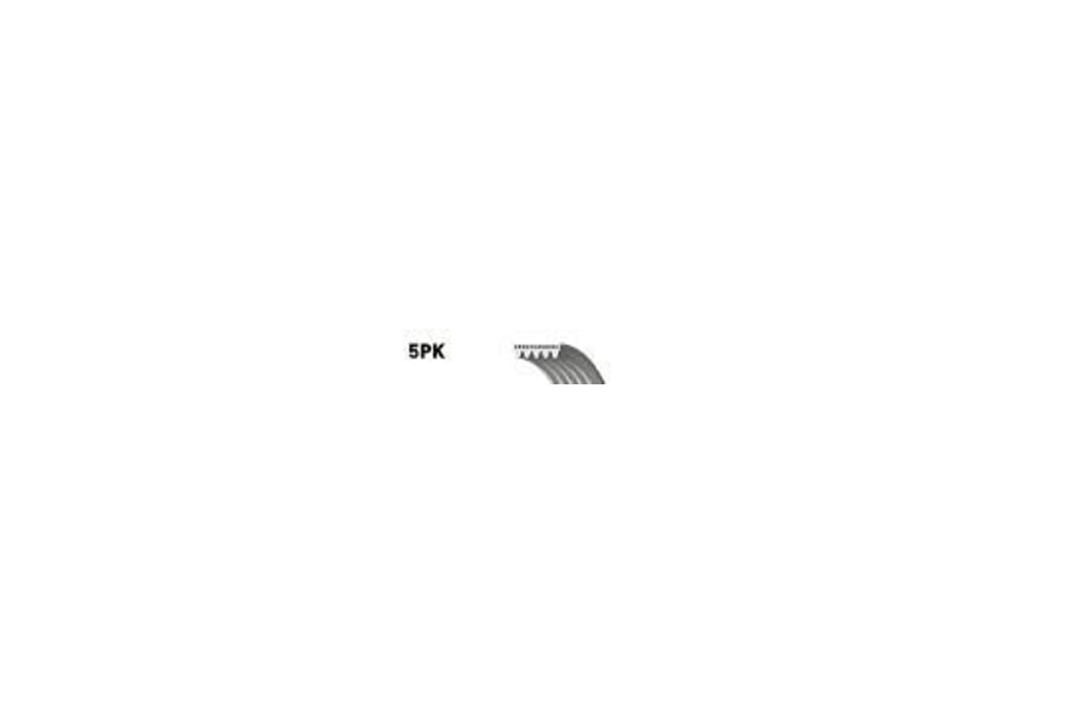Gates 5PK925 Kanallı Vantilatör Kayışı Fiat Ducato Tempra Peugeot Toyota 58358 128019