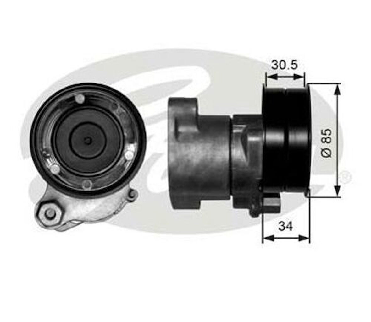 Gates T38571 Alternatör Gergi Rulmanı Daf 