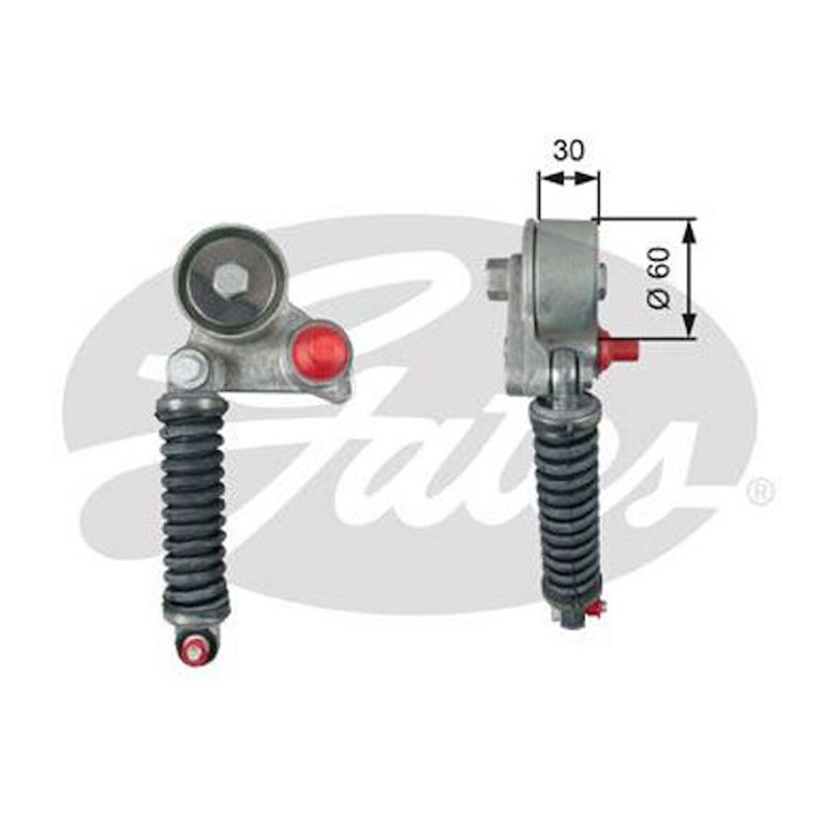 Gates T39264 Alternatör Gergi Rulmanı Vitara 05-15 1.9DDIS Amortisörlü 