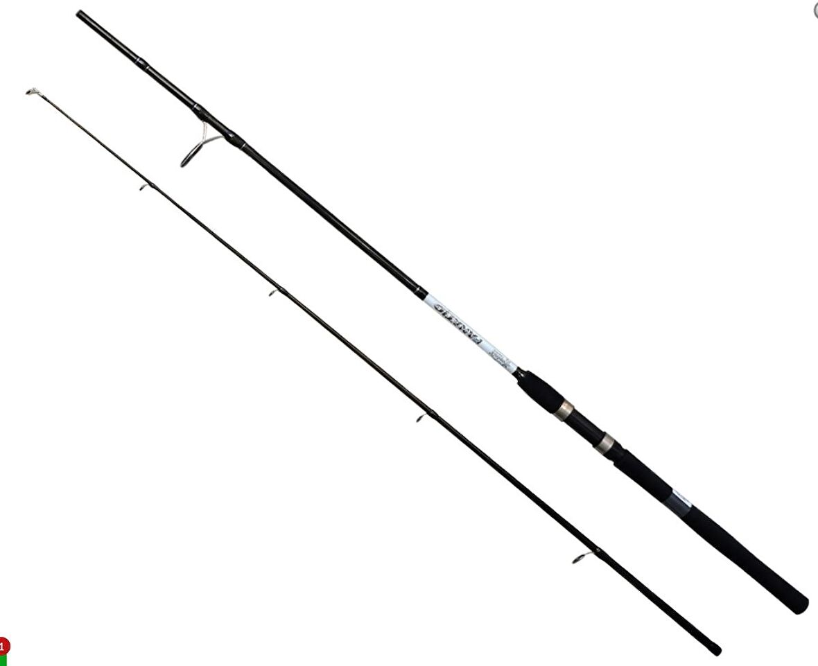 CAPTAİN FANATIC SPIN 2P 10-30 GR 210 CM