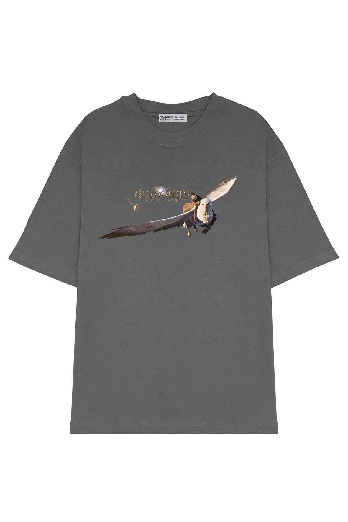 Unisex Oversize T-shirt Hogwarts Legacy-