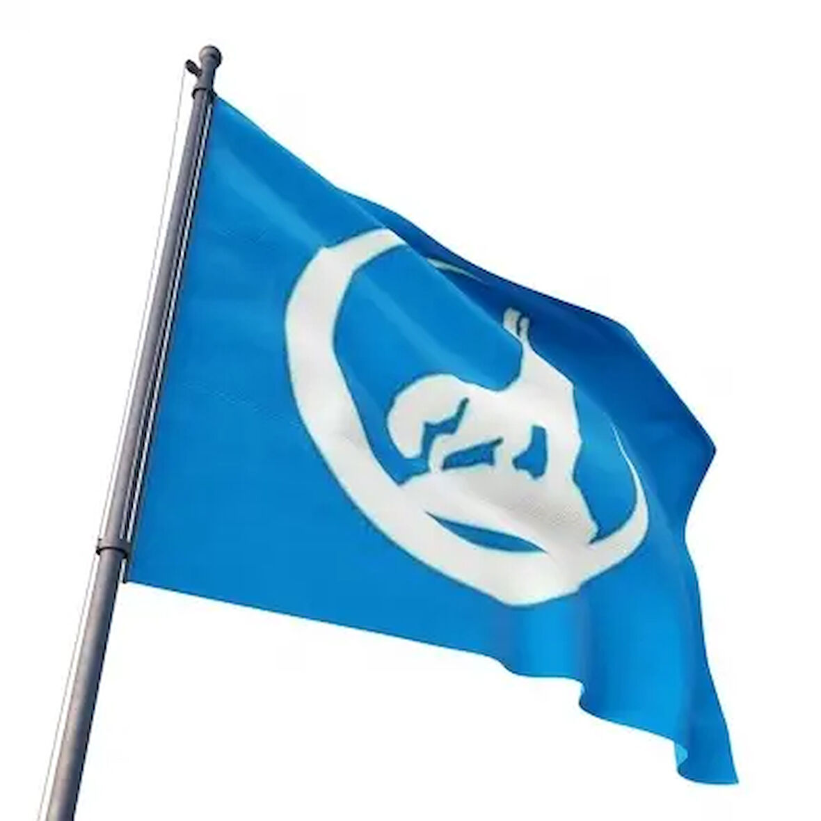 Bozkurt Bayrağı (100x150) Gönder Bayrağı 