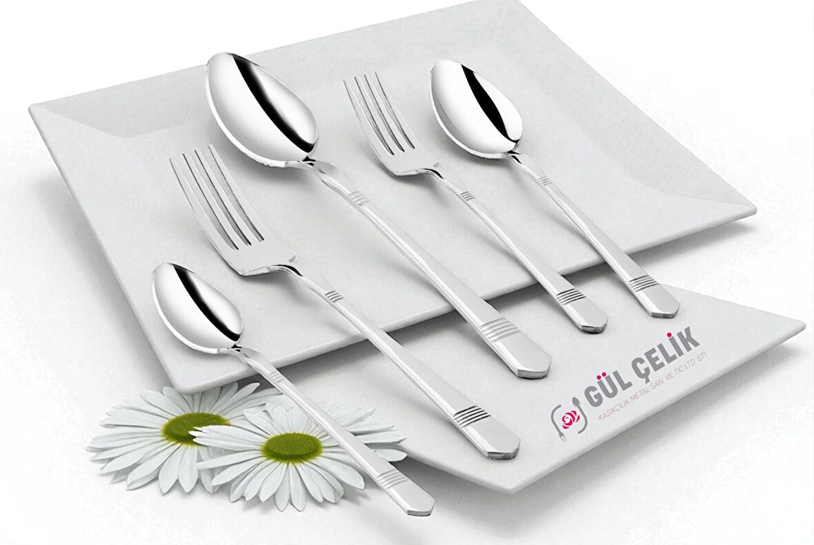 60 Parça 12 Kişilik 18/10 Kalite Çatal Kaşık Seti Alvina Model Lüx 304