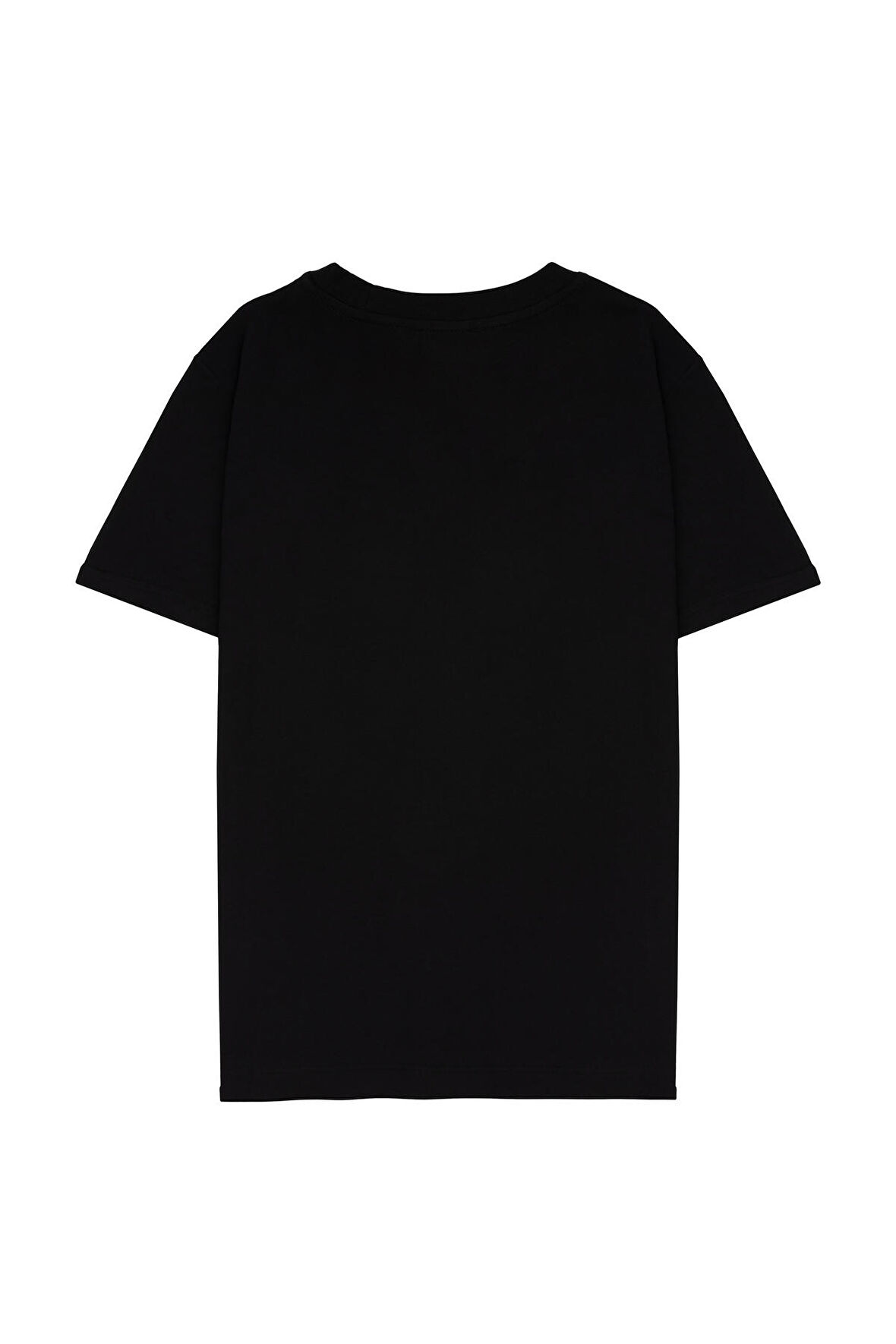 Ian Nepomniachtchi Satranç Oyuncusu Unisex Regular T-shirt