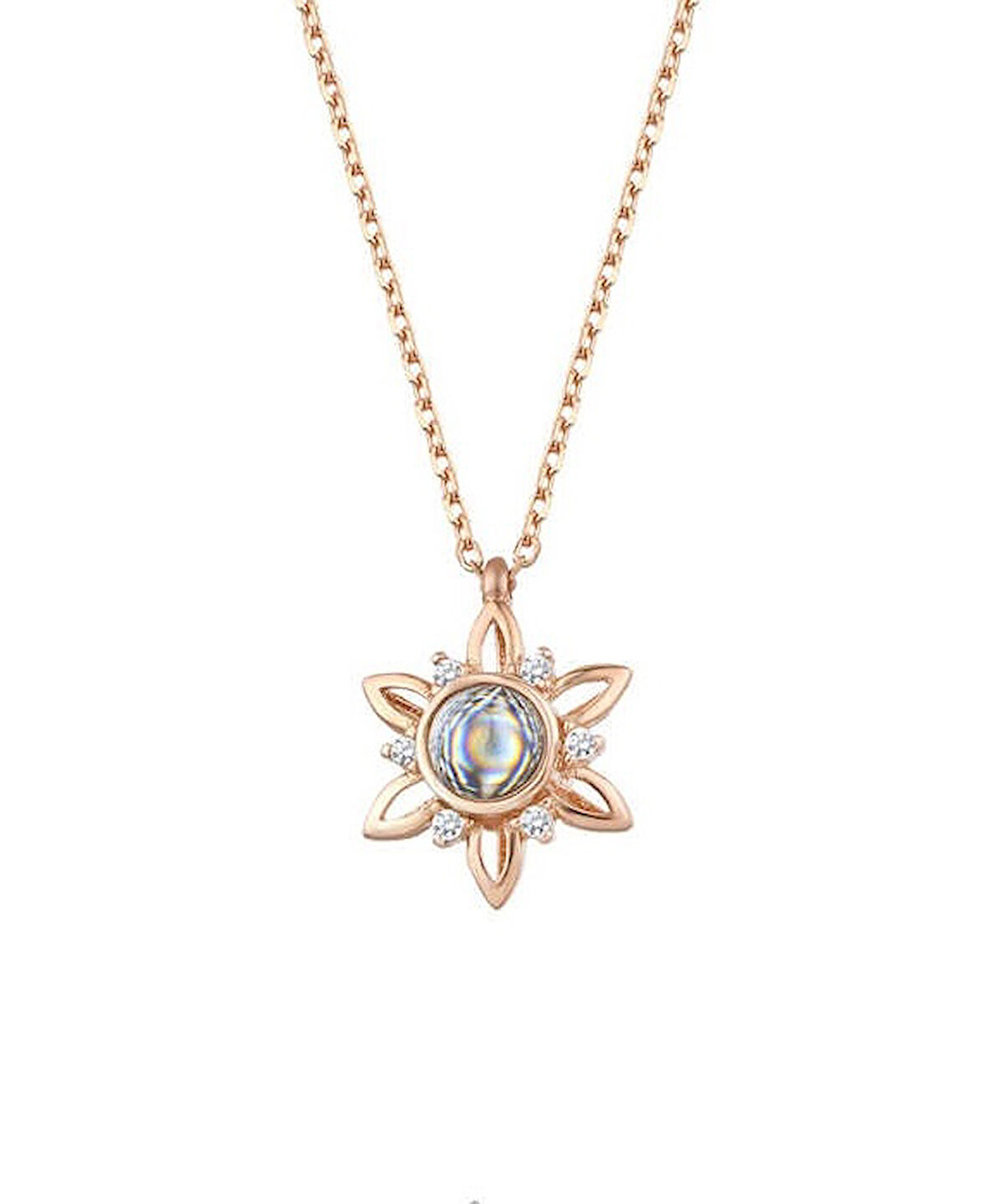 100 Dilde Seni Seviyorum Çiçekli Gümüş Rose Kolye GMS1837