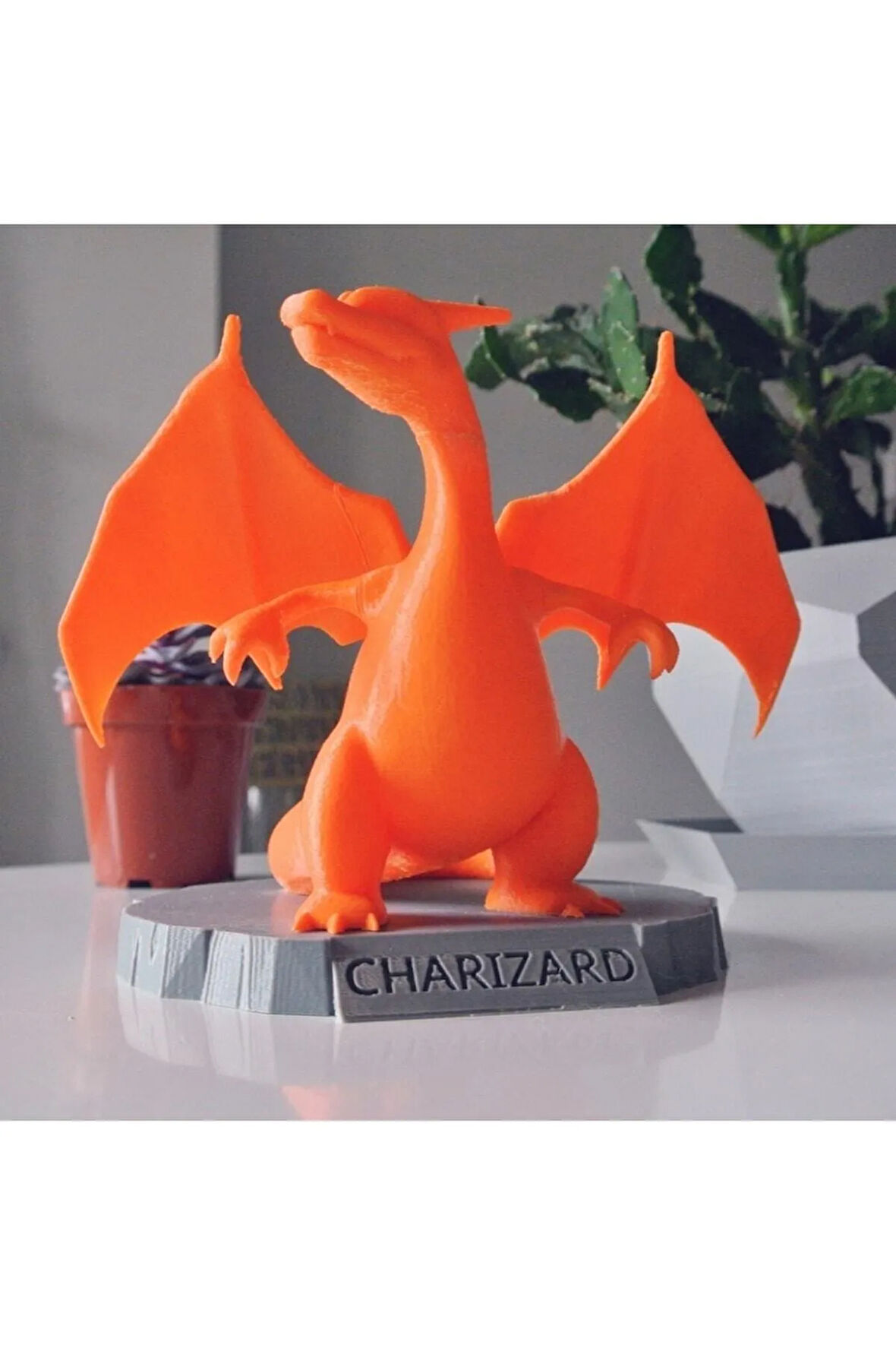 Pokemon Charizard Biblo