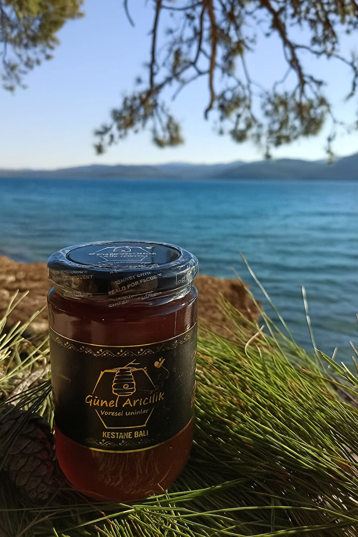 Kestane Balı 400 gr