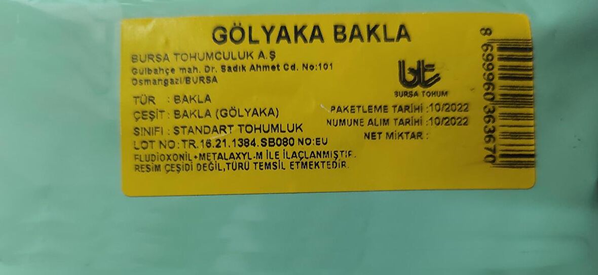 Bursa Tohum Gölyaka Bakla Tohumu 250 gr