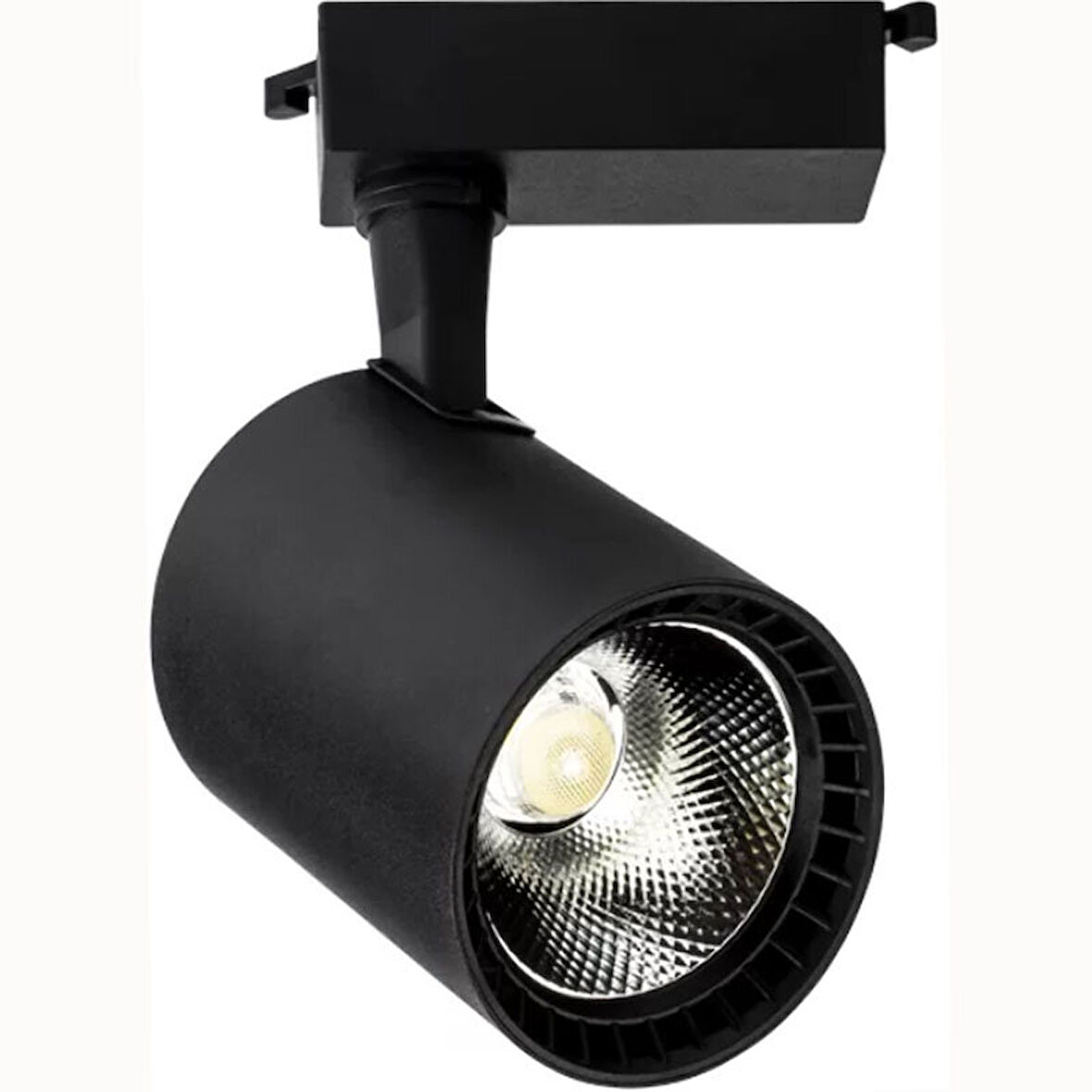 Ray Spot Armatür Paris Siyah Kasa 3200K 30W