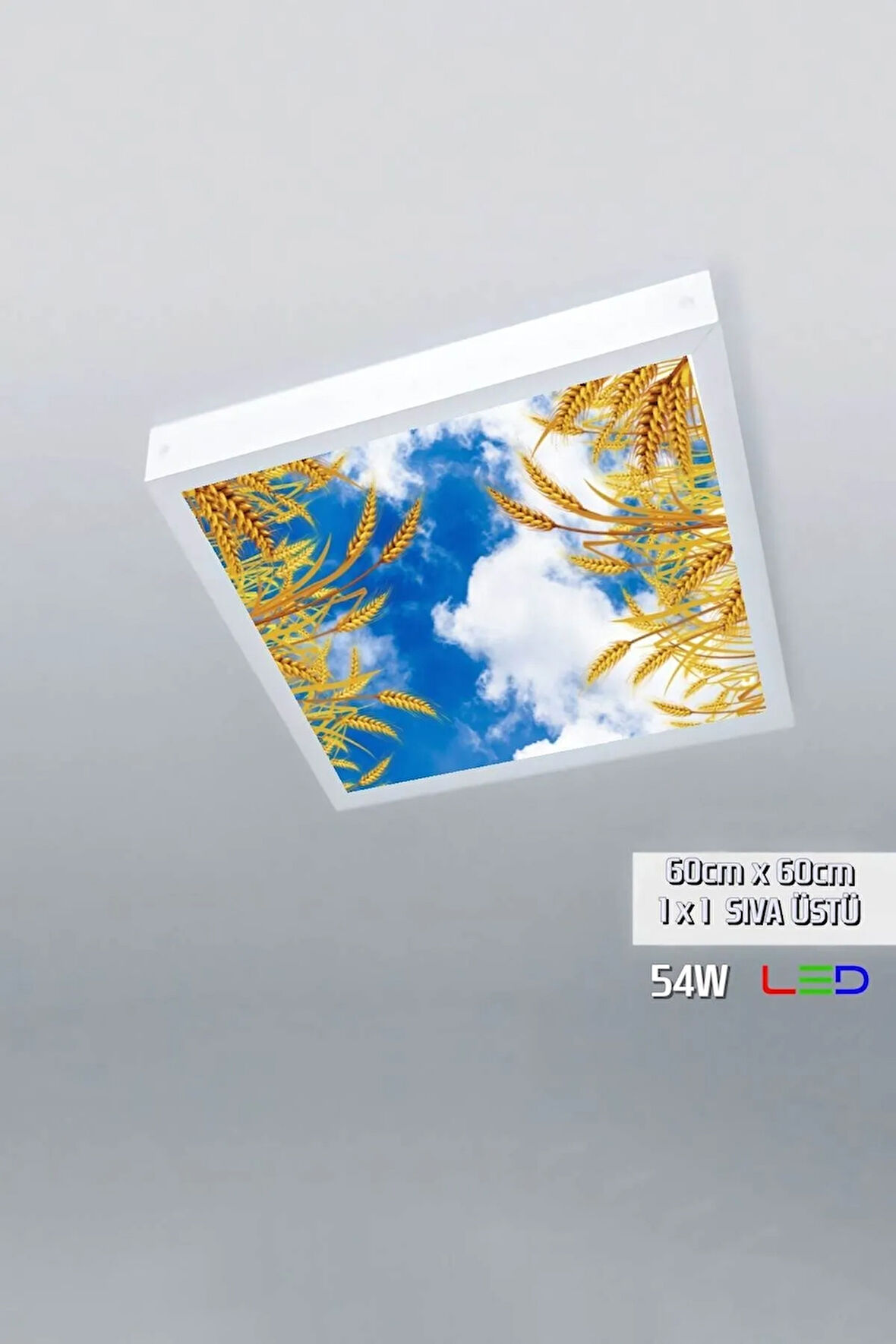 1x1-tekli-60x60-tavana Yapışık Led Panel-54w-sıva Üstü Evize-kolay Montaj-buğday- Led