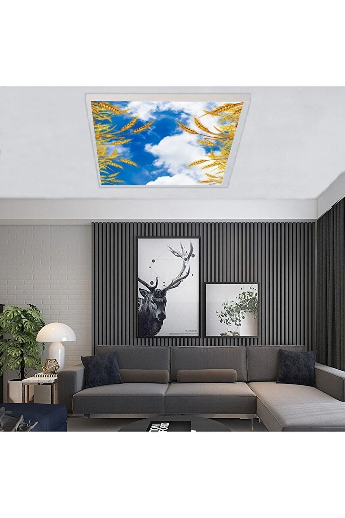 Salon Avize Modeli - 60watt Aydınlatma -60cmx60cm -led Işık Avize- Baskılı Tasarım-tavana Yapışık