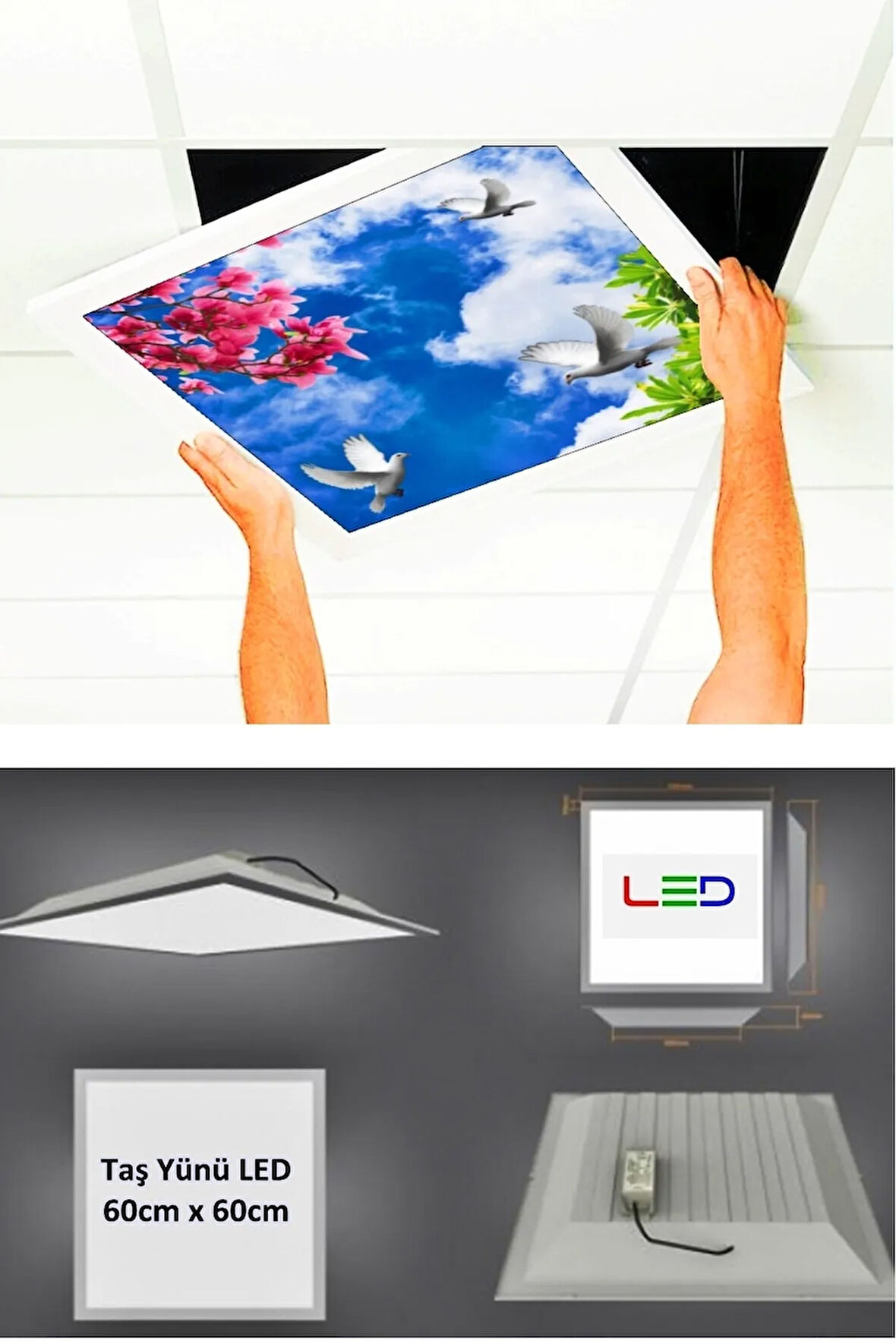 Asma Tavan-60cmx60cm-sıva Altı-54w-6500k-beyaz-led Panel-led Armatür- 60x60 Taş Yünü Asma Tavan-led