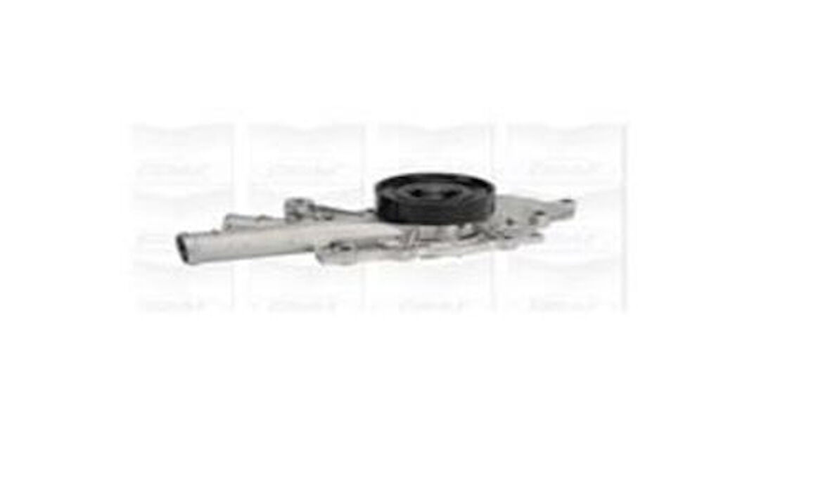 Graf PA955 Devirdaim Pompası Mercedes S-Class OM613 W220 99 02 A6132000601