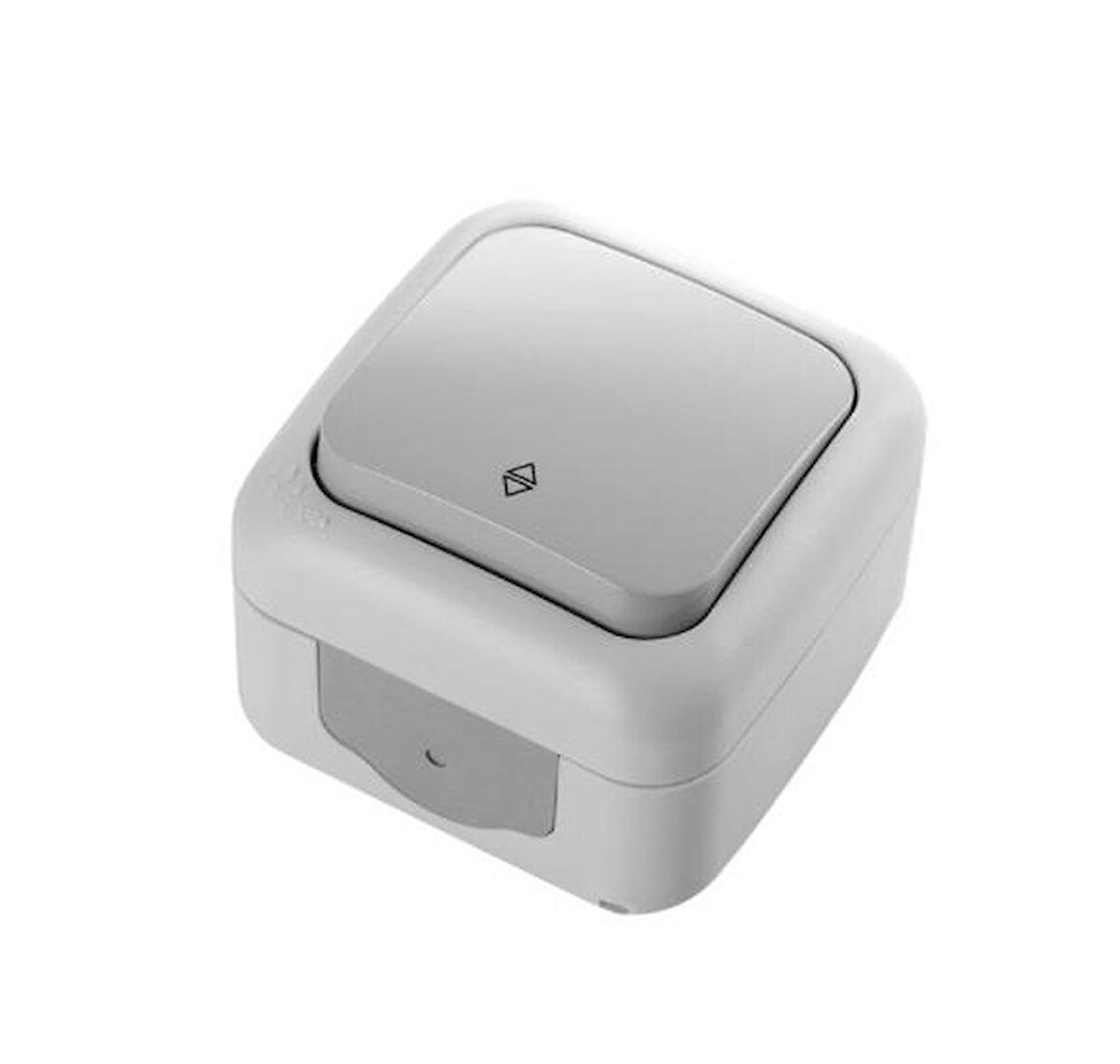 PALMİYE VAVİEN (10ADET) VİKO