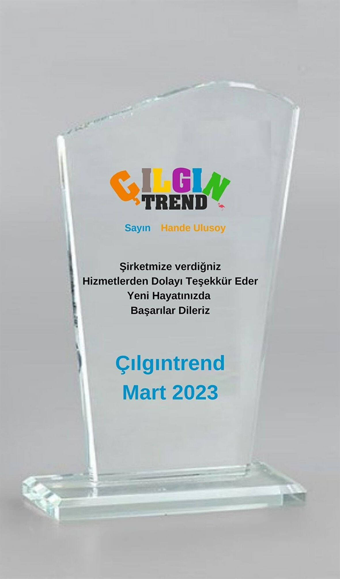 Firmalara Özel Kristal Ödül