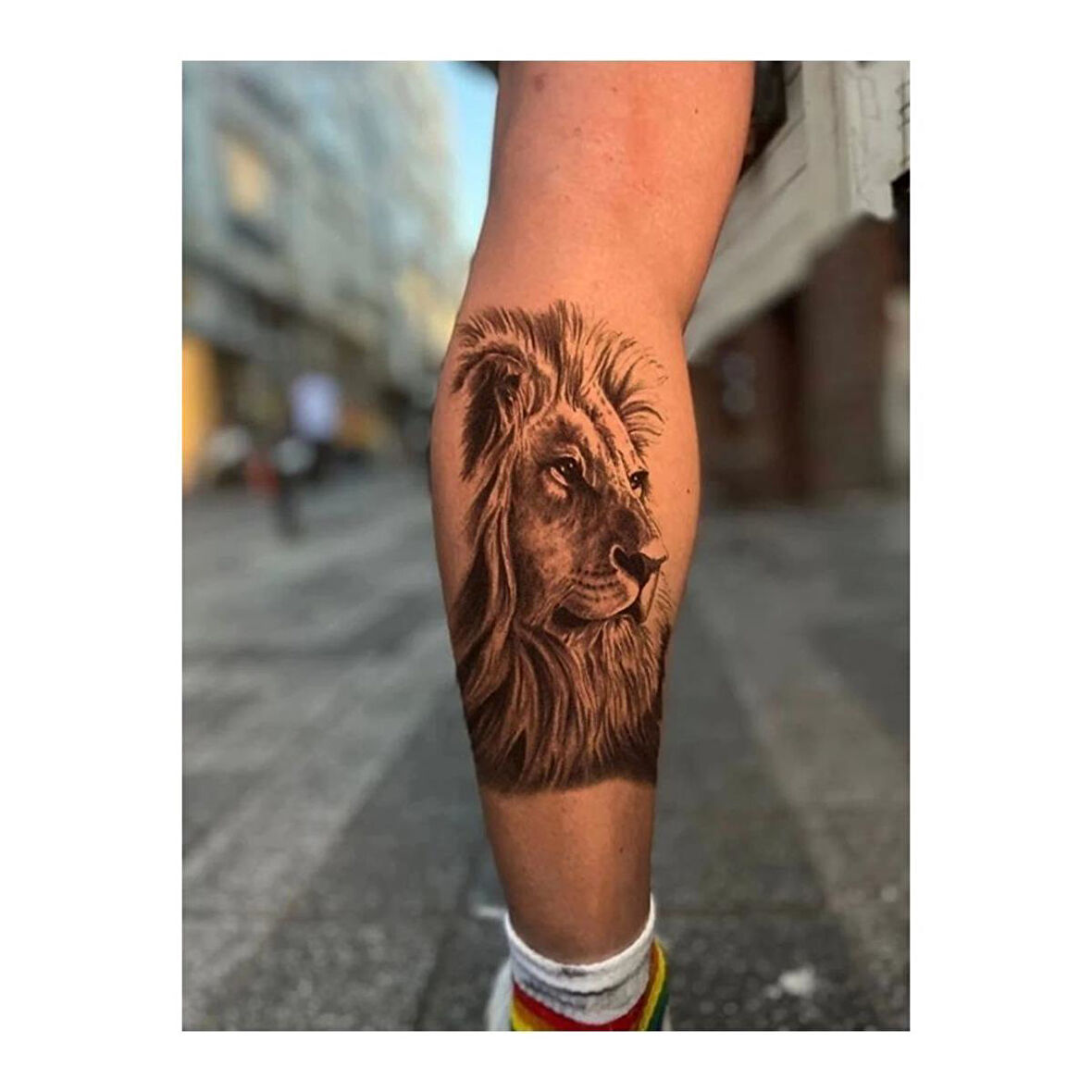 Aslan Geçici Dövme Tattoo