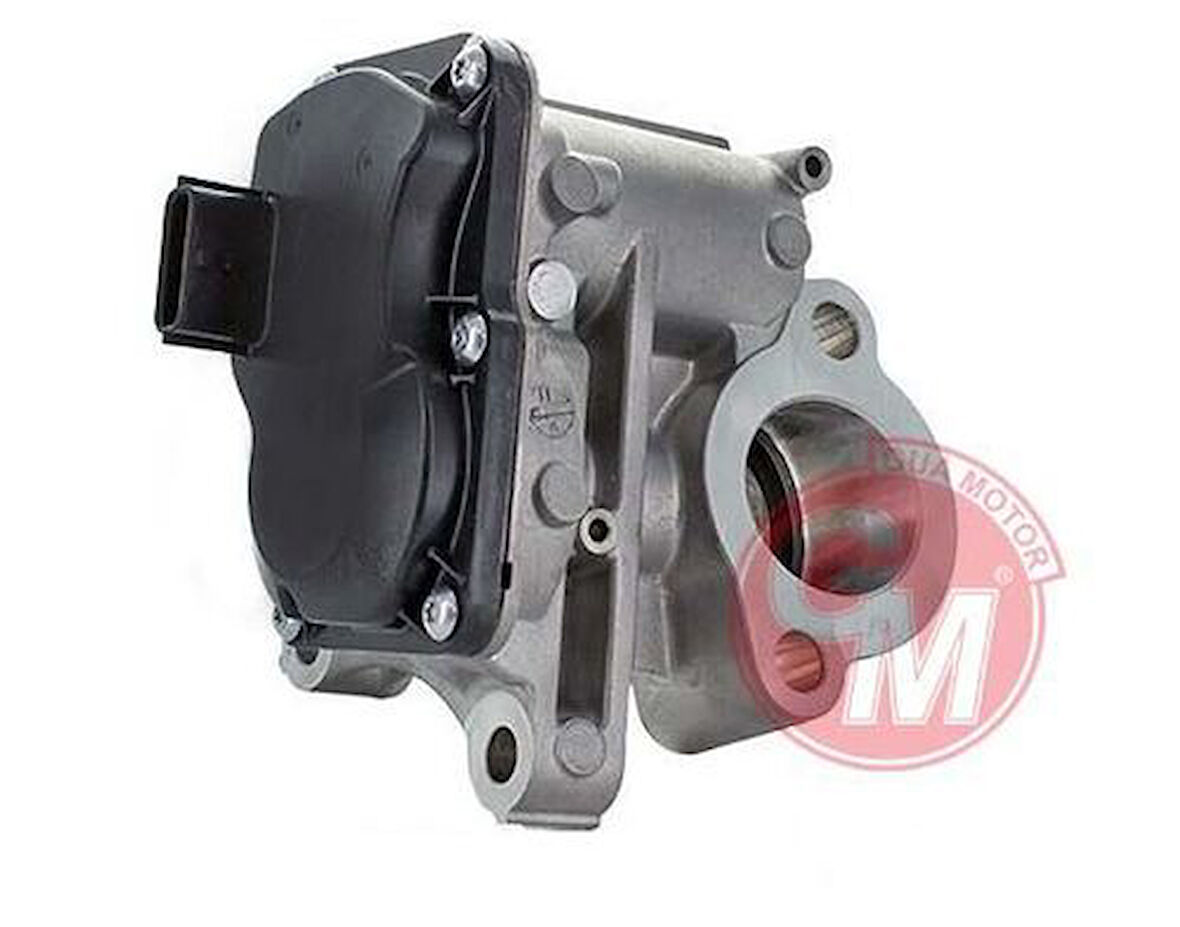 Gua 41134 EGR Valfi Renault Megane III Trafic III Qashqai 1.6DCI 8201068965