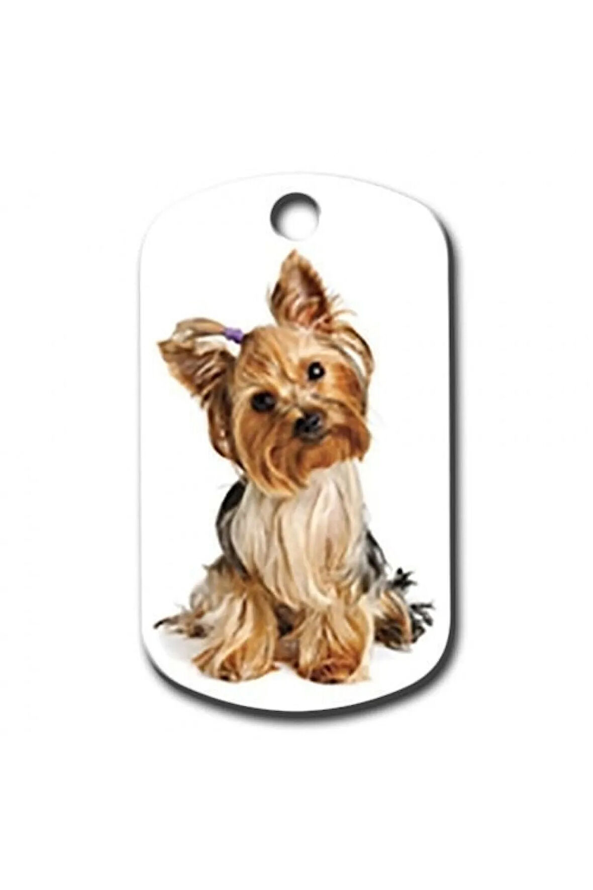 York Shire Köpek Künyesi Small