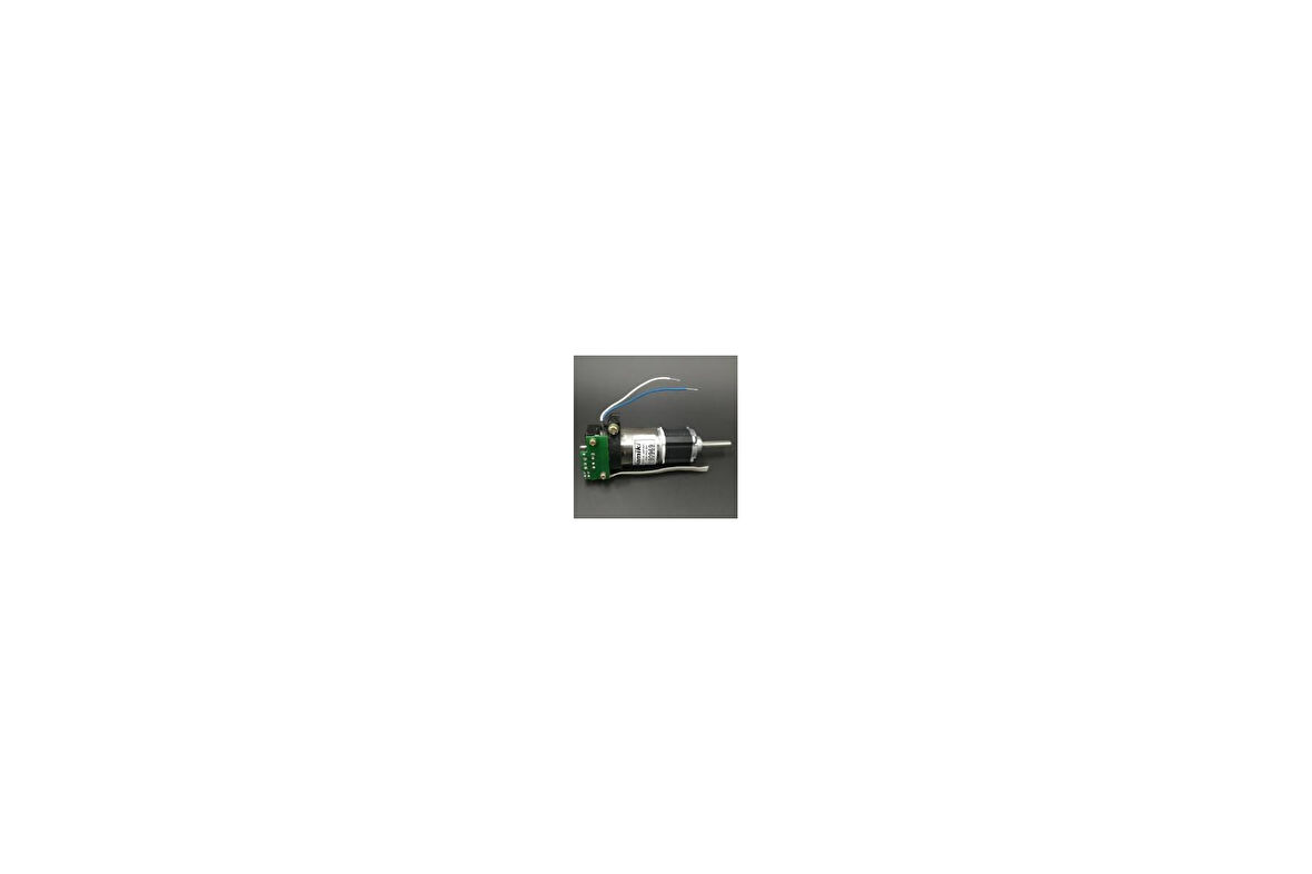 Namiki 22Cl-3501Pg 12V 120 Rpm Encoderli Dc Motor